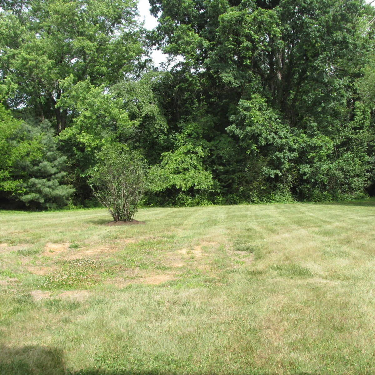 6620 Sherry RD - Photo 18