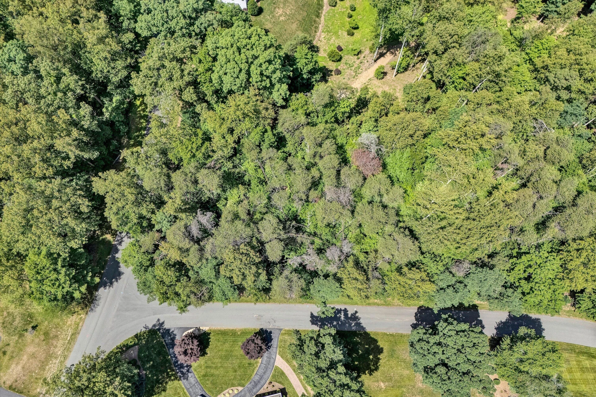 Lot 298 Upland Shores DR - Photo 5