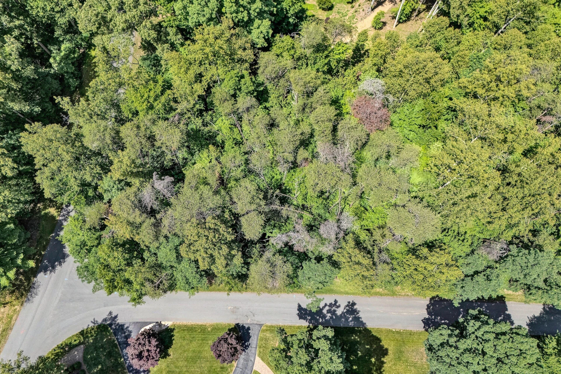 Lot 298 Upland Shores DR - Photo 6