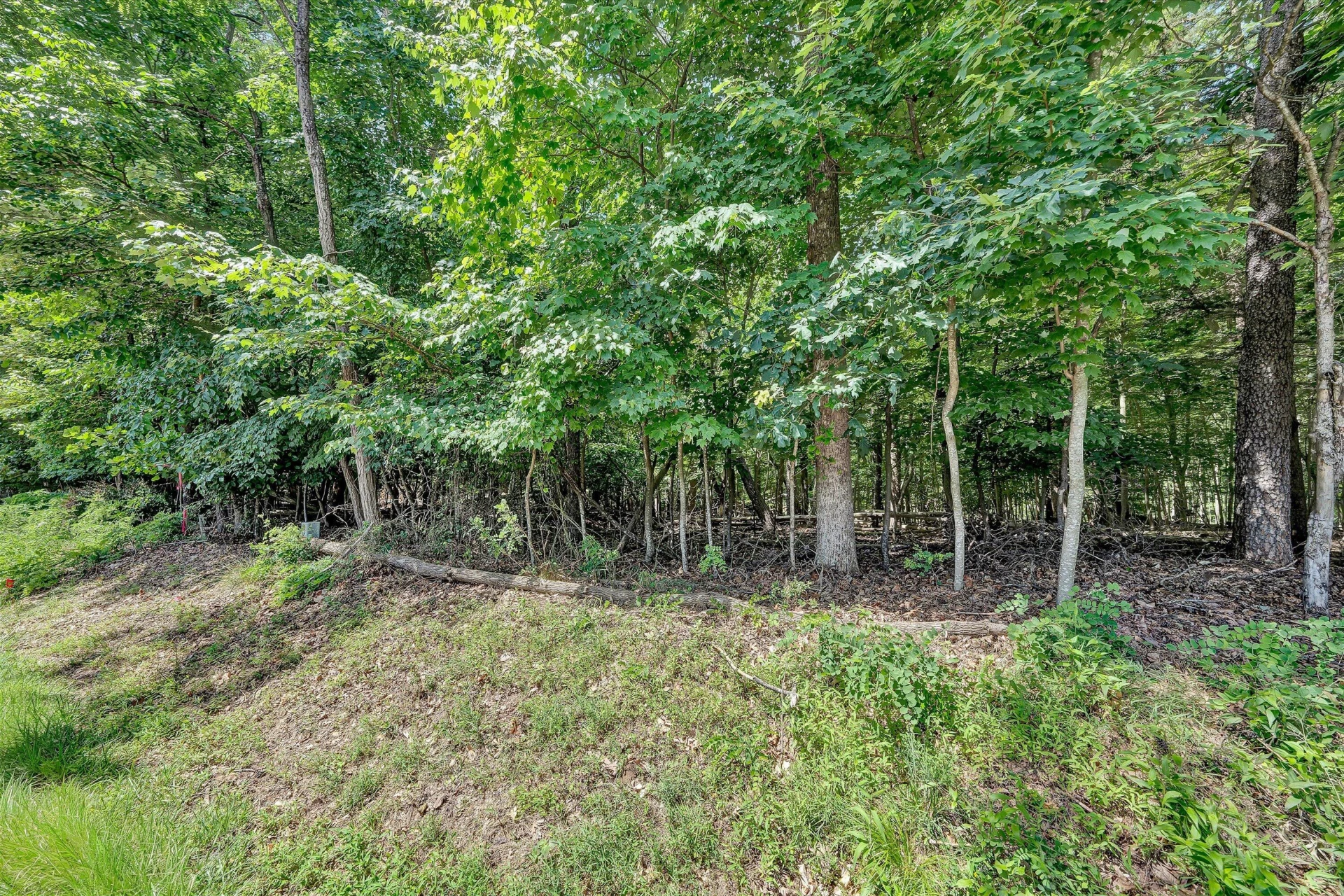 Lot 298 Upland Shores DR - Photo 7
