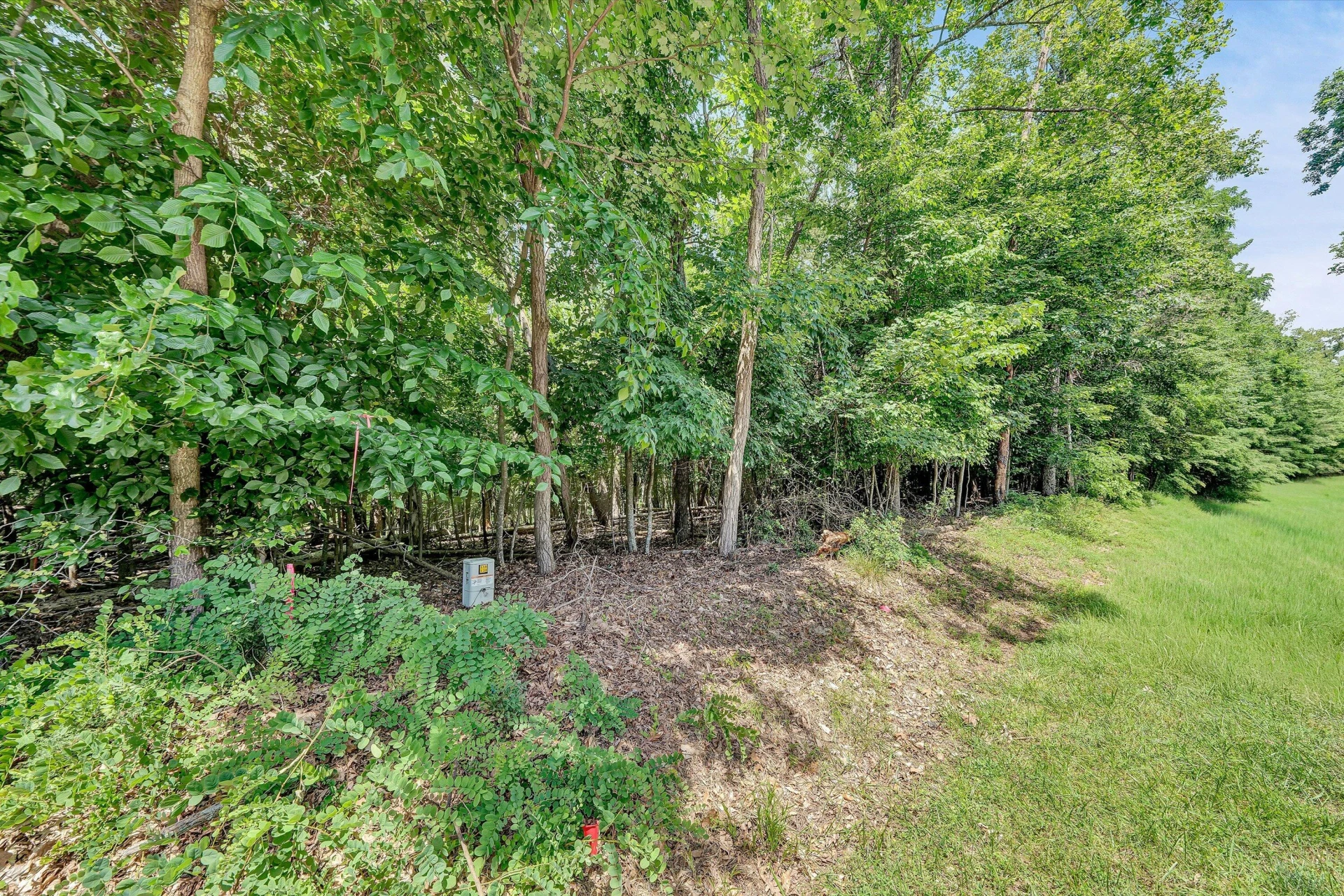 Lot 298 Upland Shores DR - Photo 8