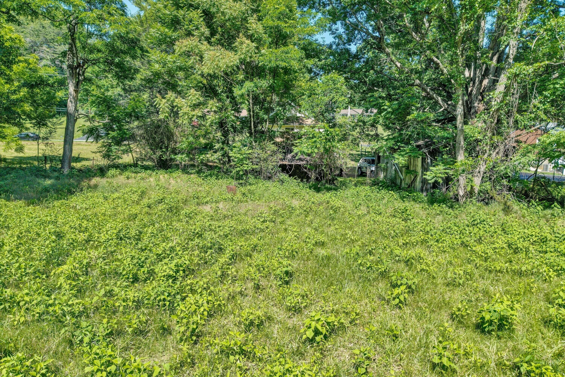 2241 Blue Ridge Springs RD - Photo 23