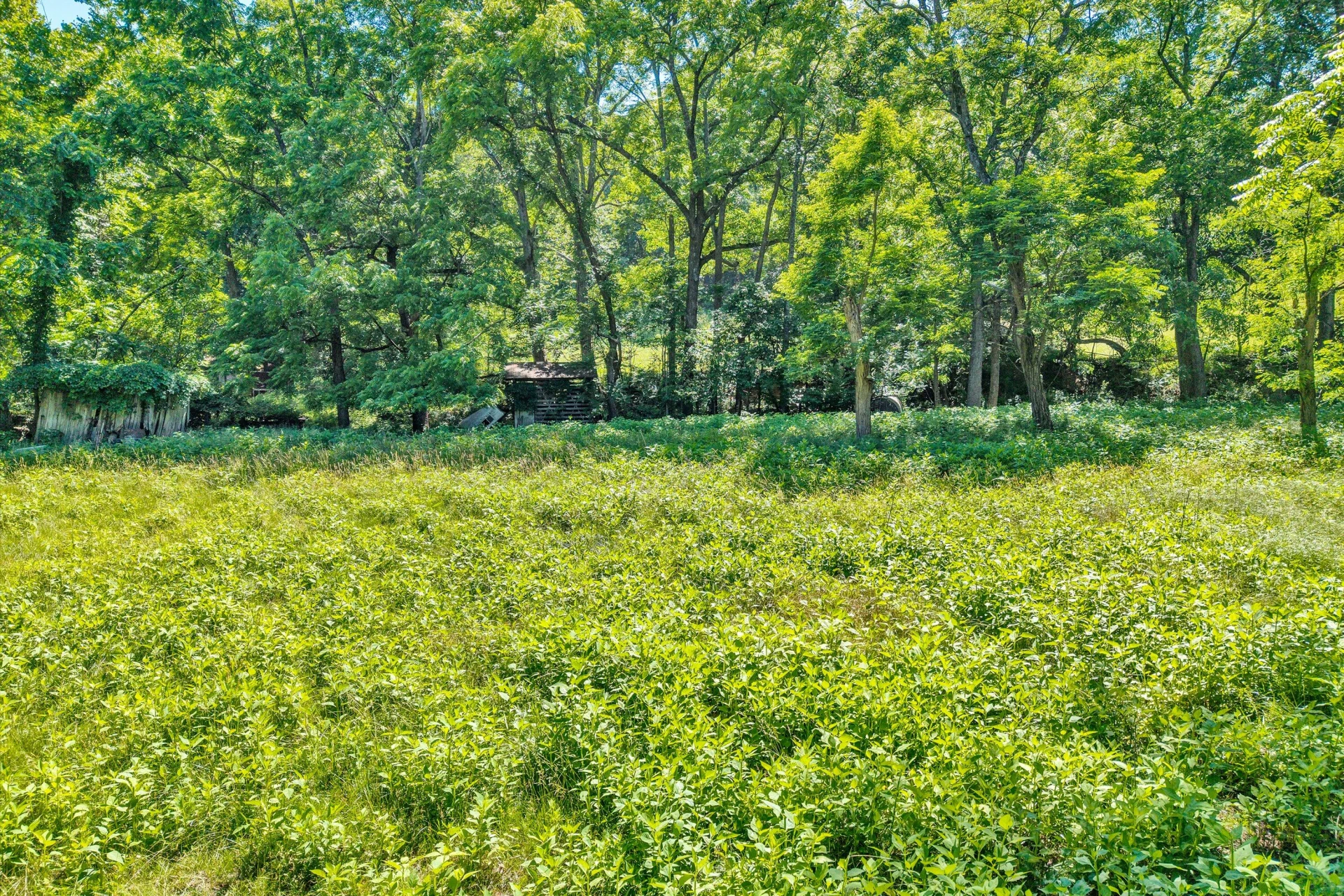 2241 Blue Ridge Springs RD - Photo 24
