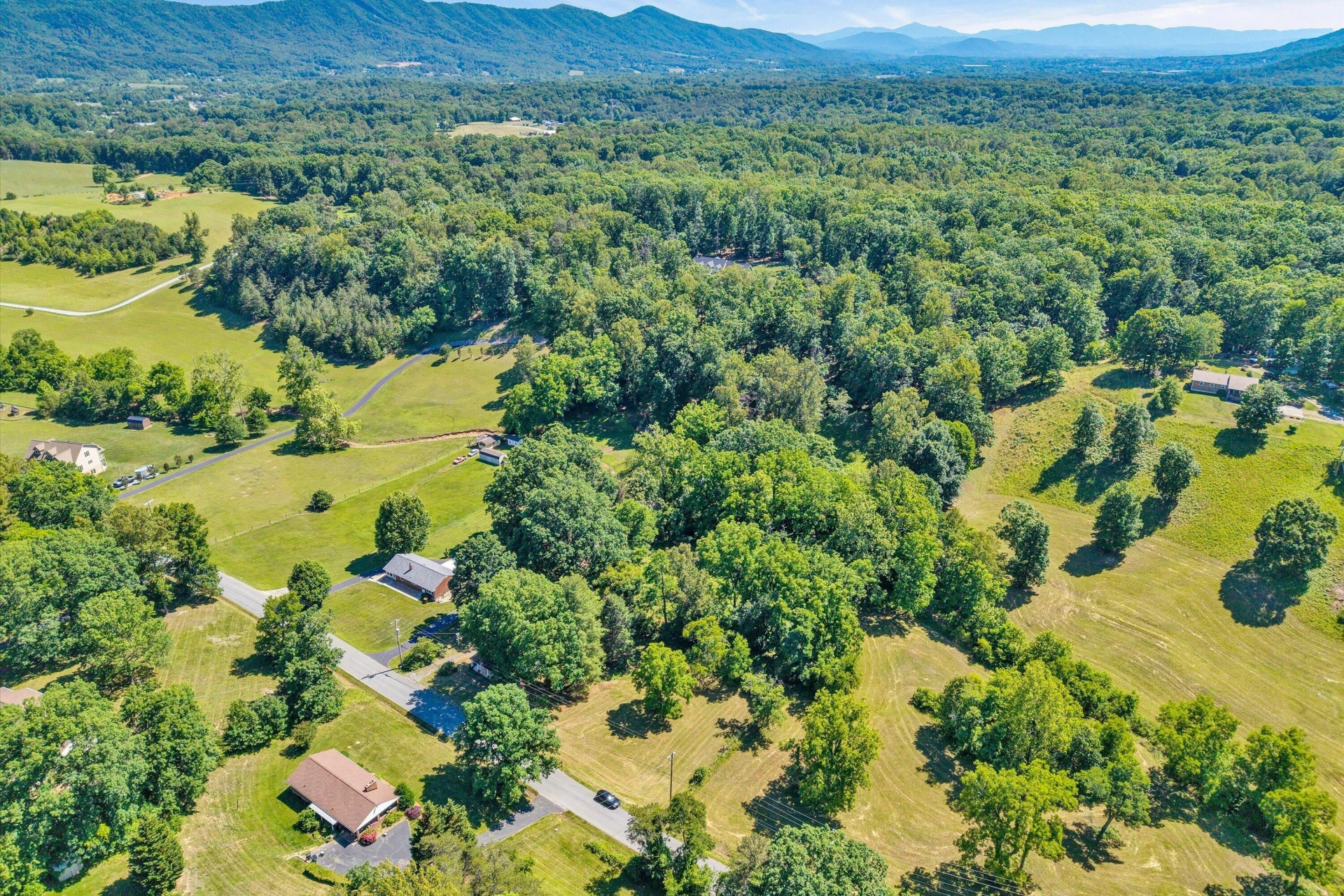 2241 Blue Ridge Springs RD - Photo 5