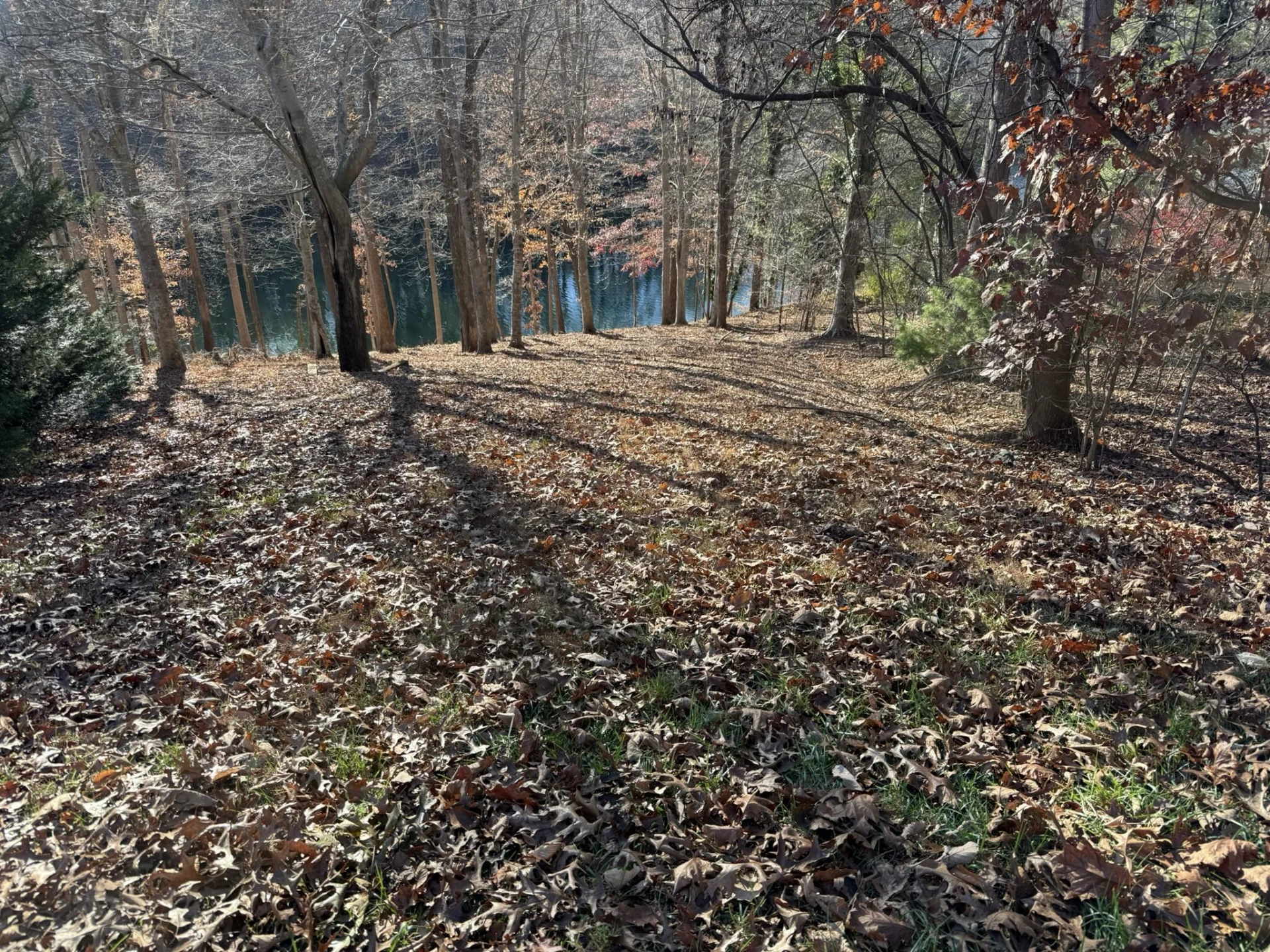Lot 3 Aspen WAY - Photo 2