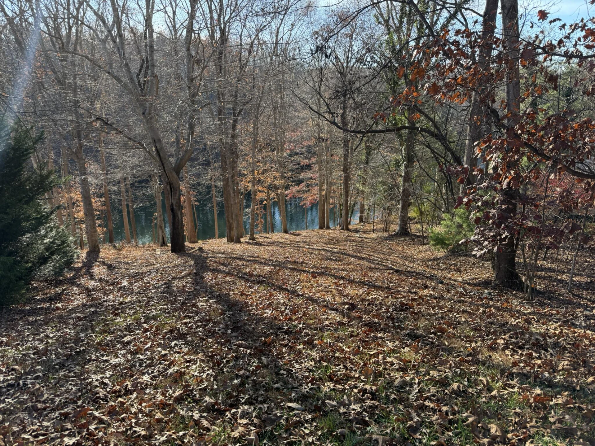 Lot 3 Aspen WAY - Photo 3