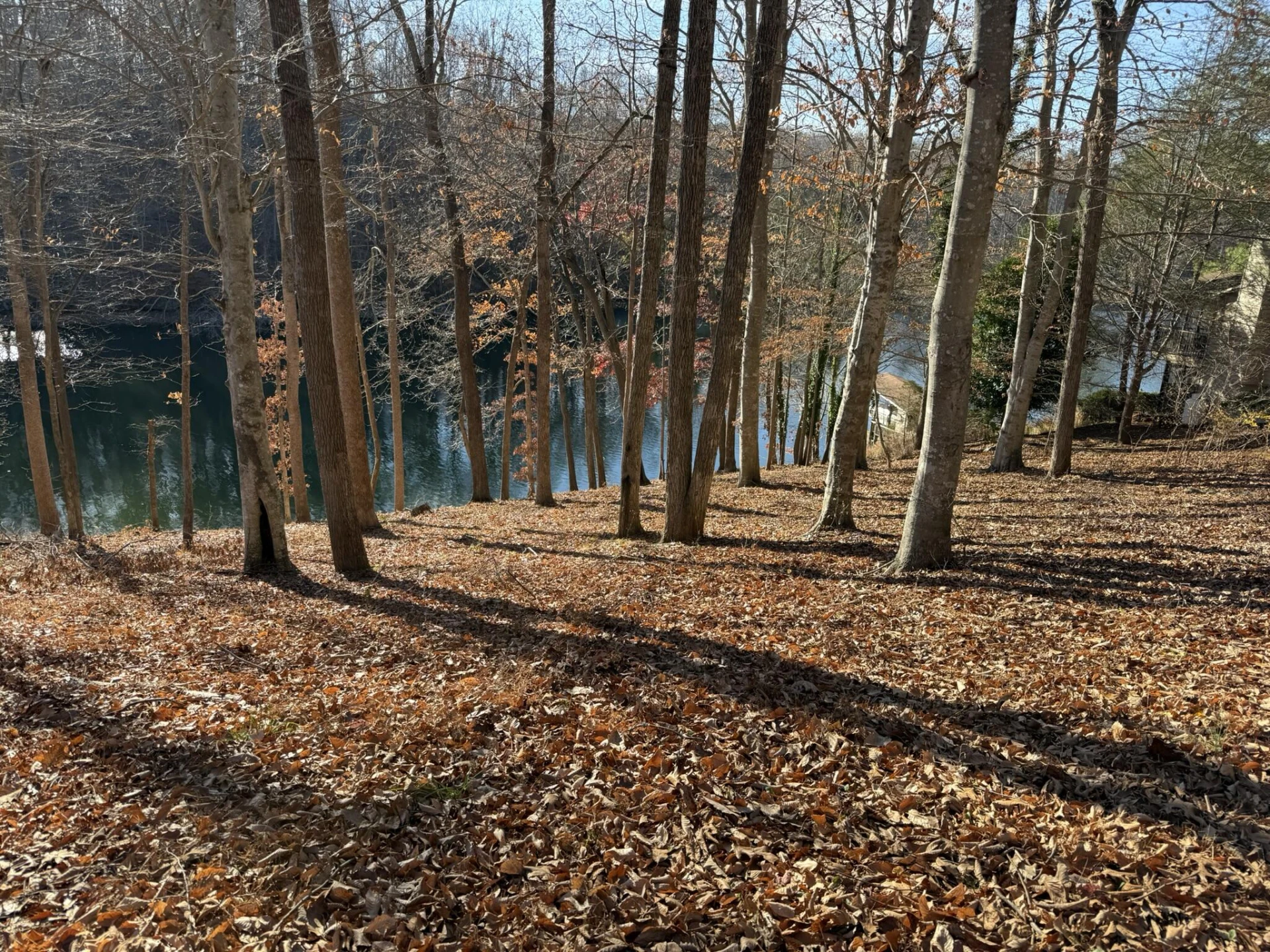 Lot 3 Aspen WAY - Photo 4