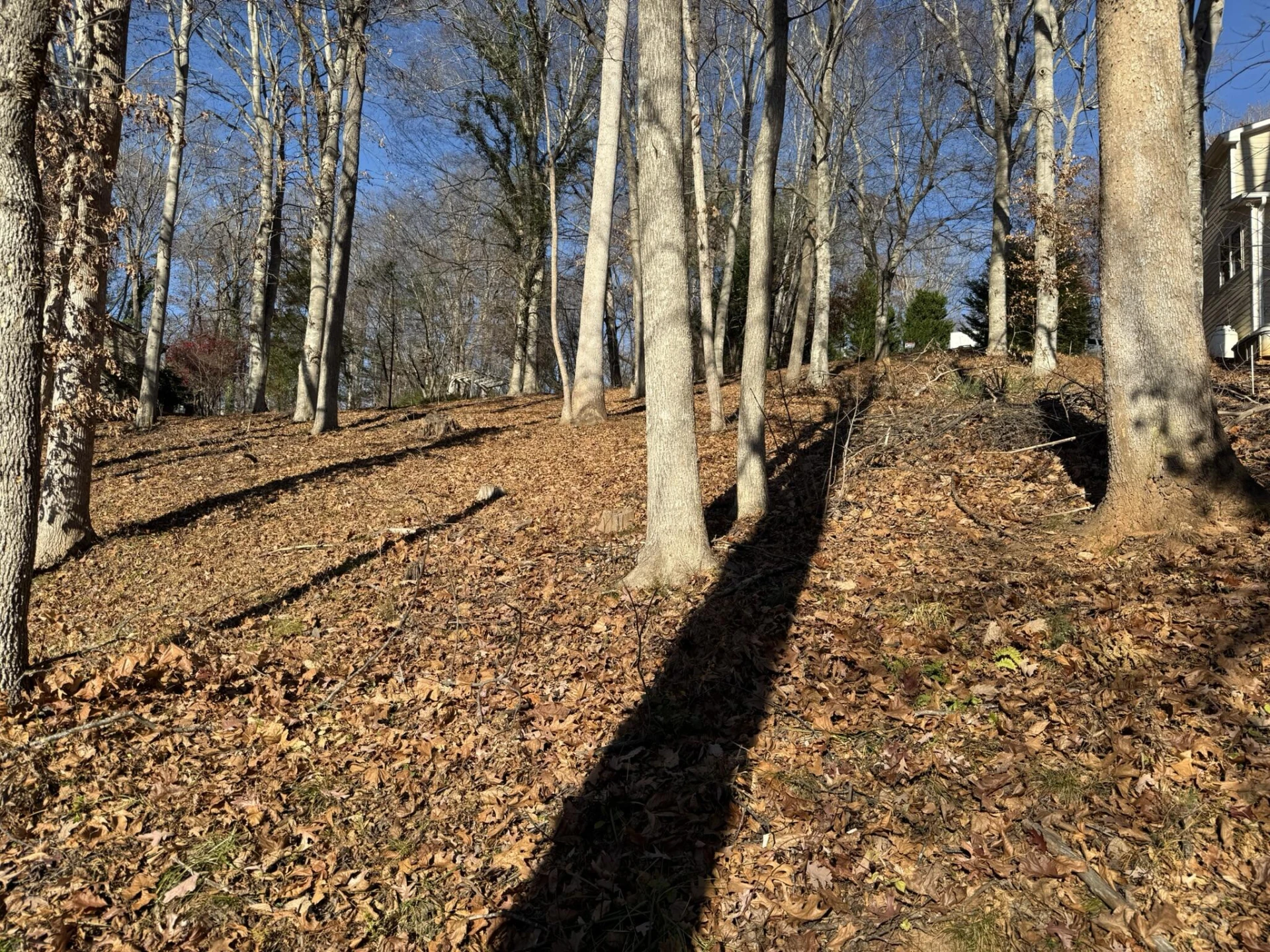 Lot 3 Aspen WAY - Photo 5