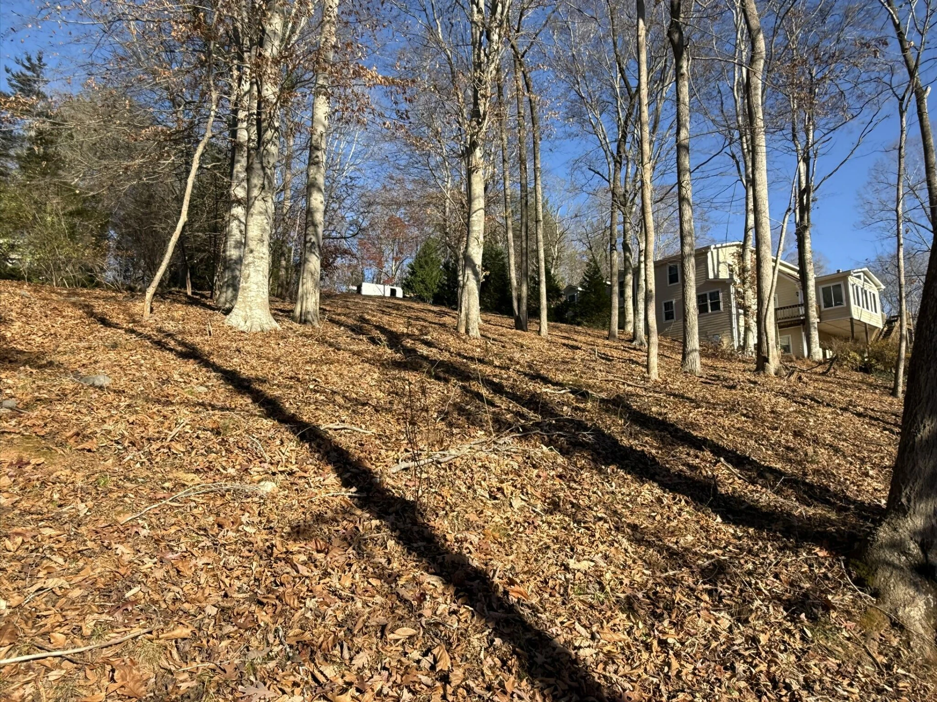 Lot 3 Aspen WAY - Photo 6