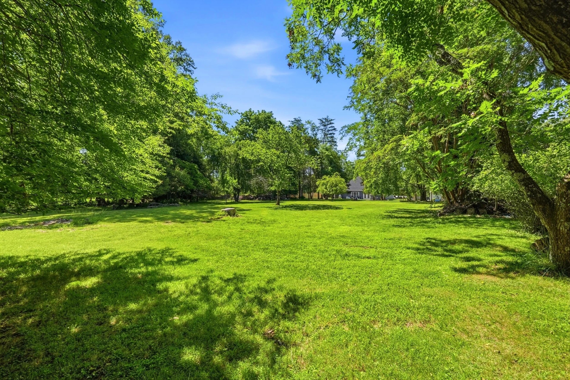 1107 Boonsboro PL - Photo 86
