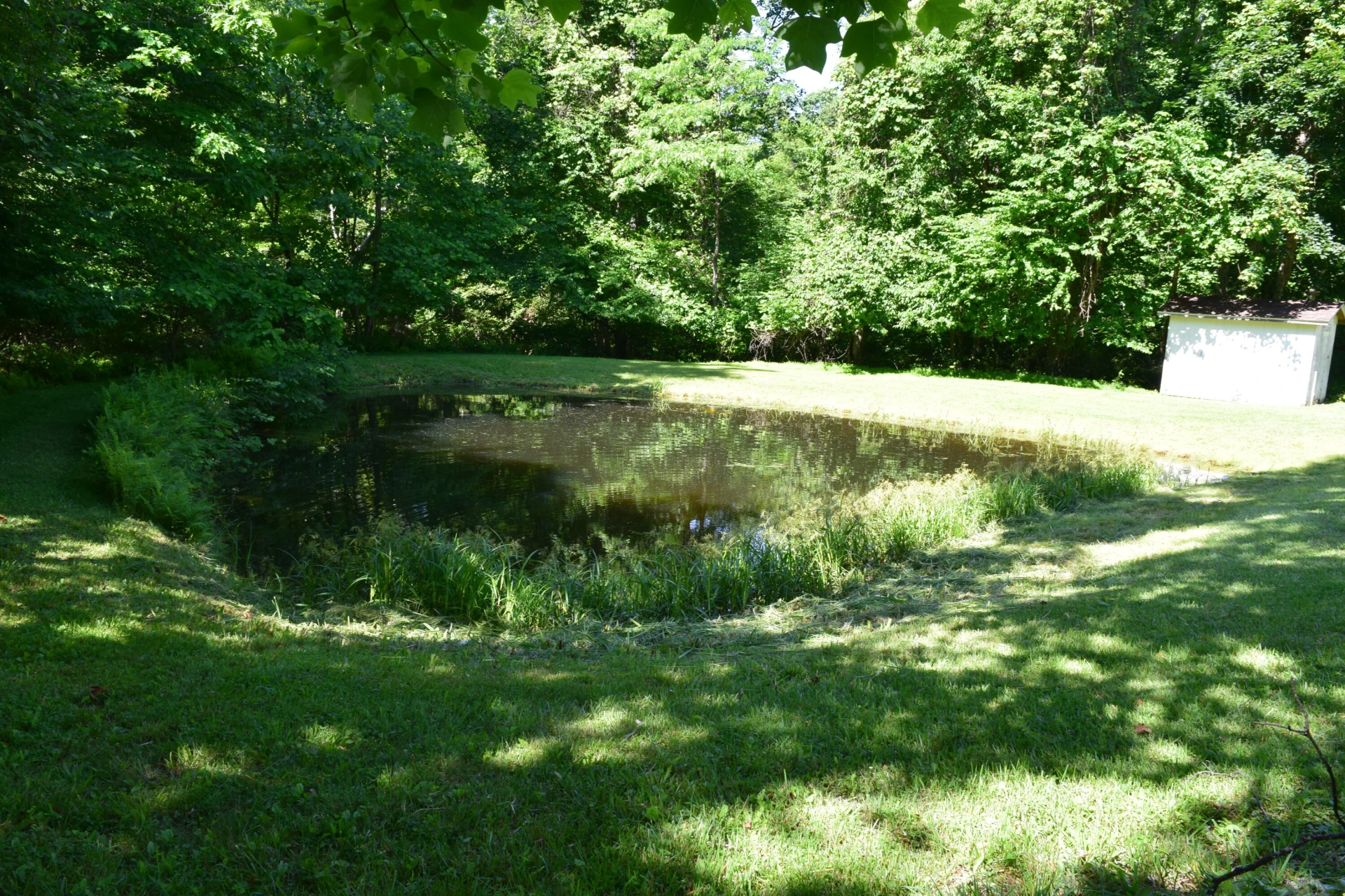 812 Conner Grove RD SW - Photo 10