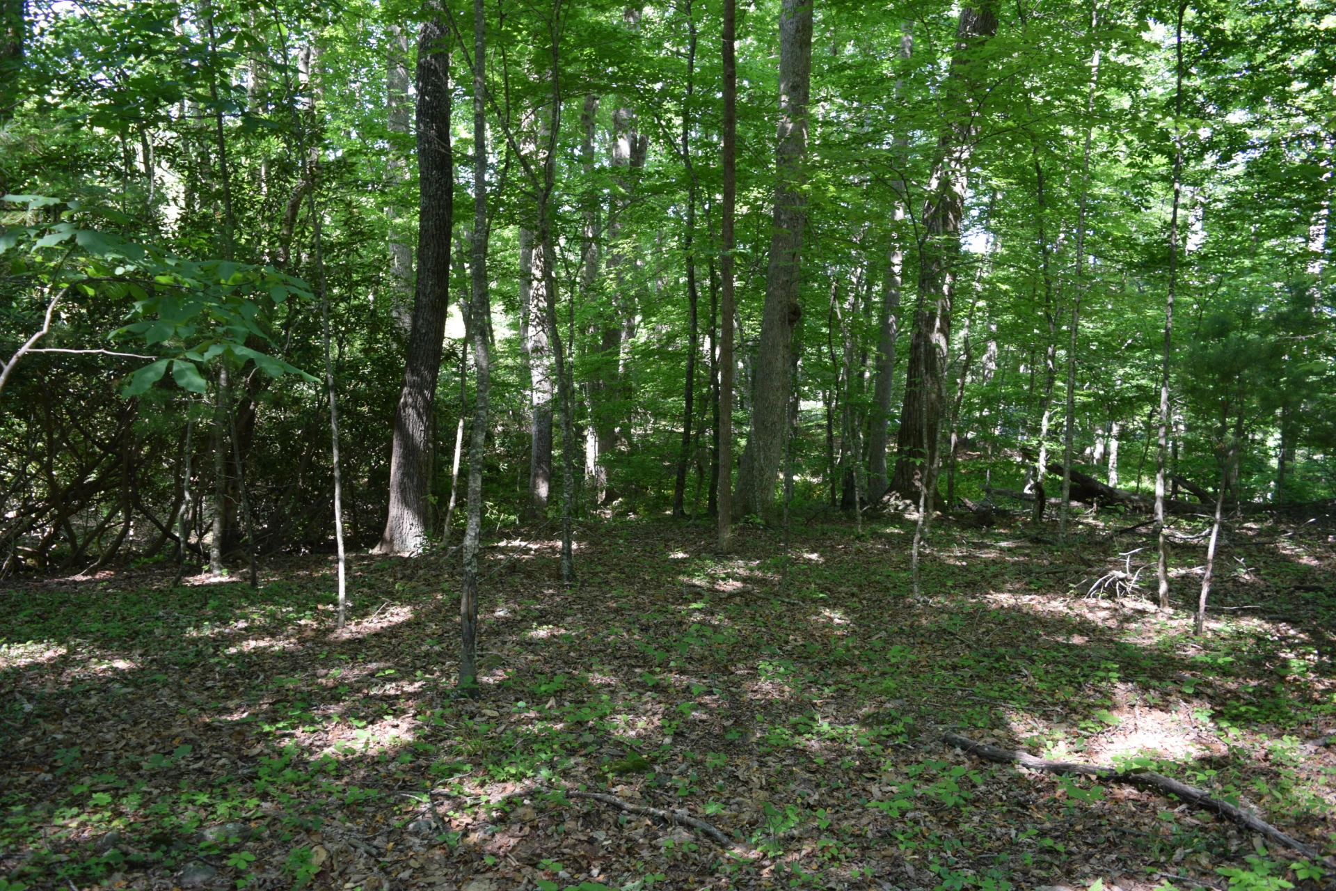 812 Conner Grove RD SW - Photo 59