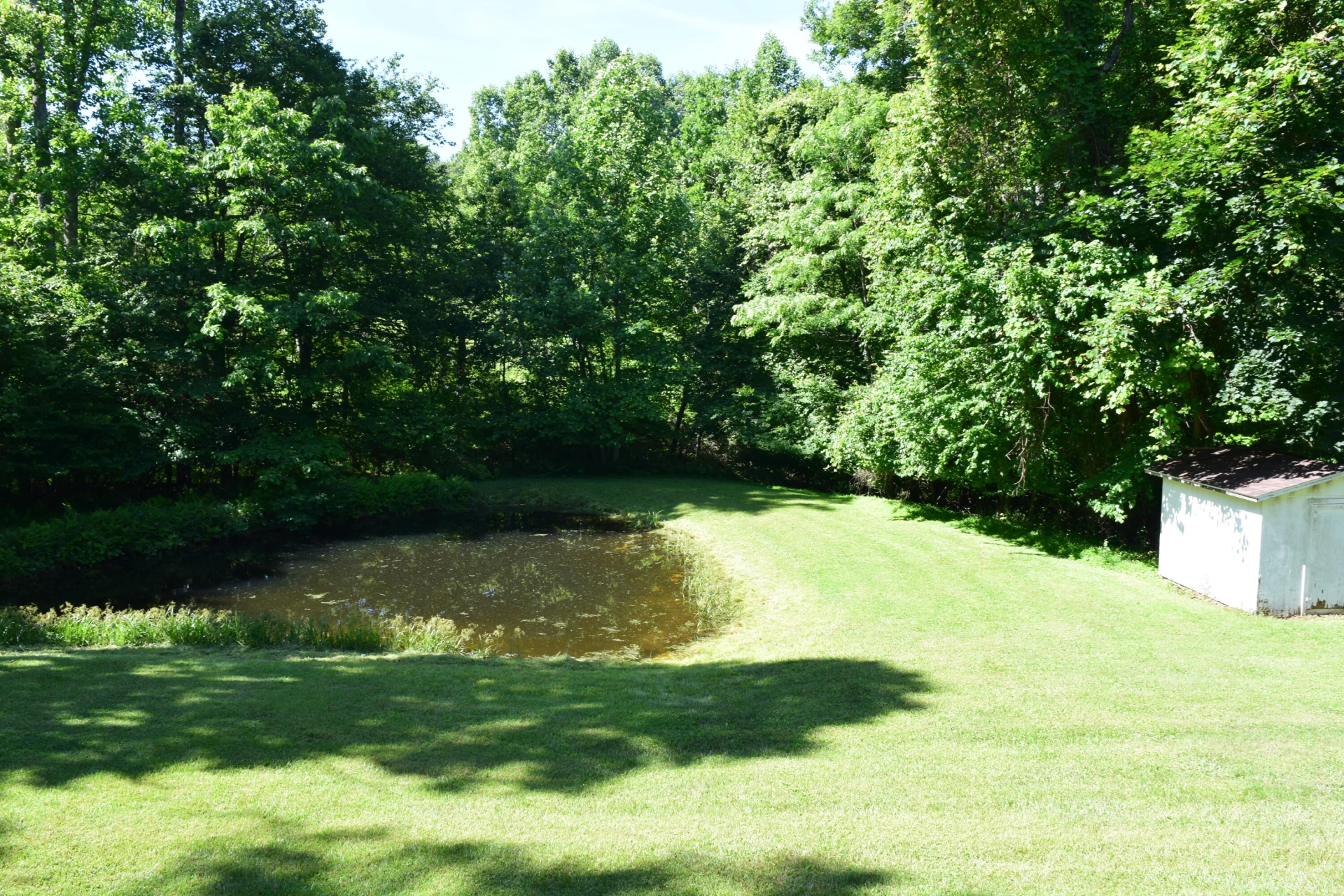 812 Conner Grove RD SW - Photo 6