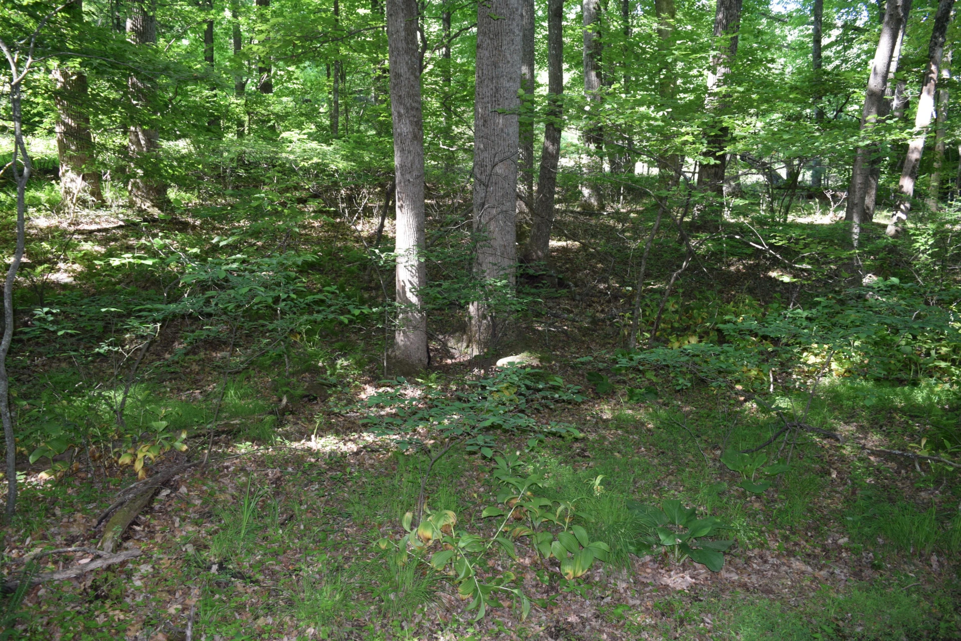 812 Conner Grove RD SW - Photo 62