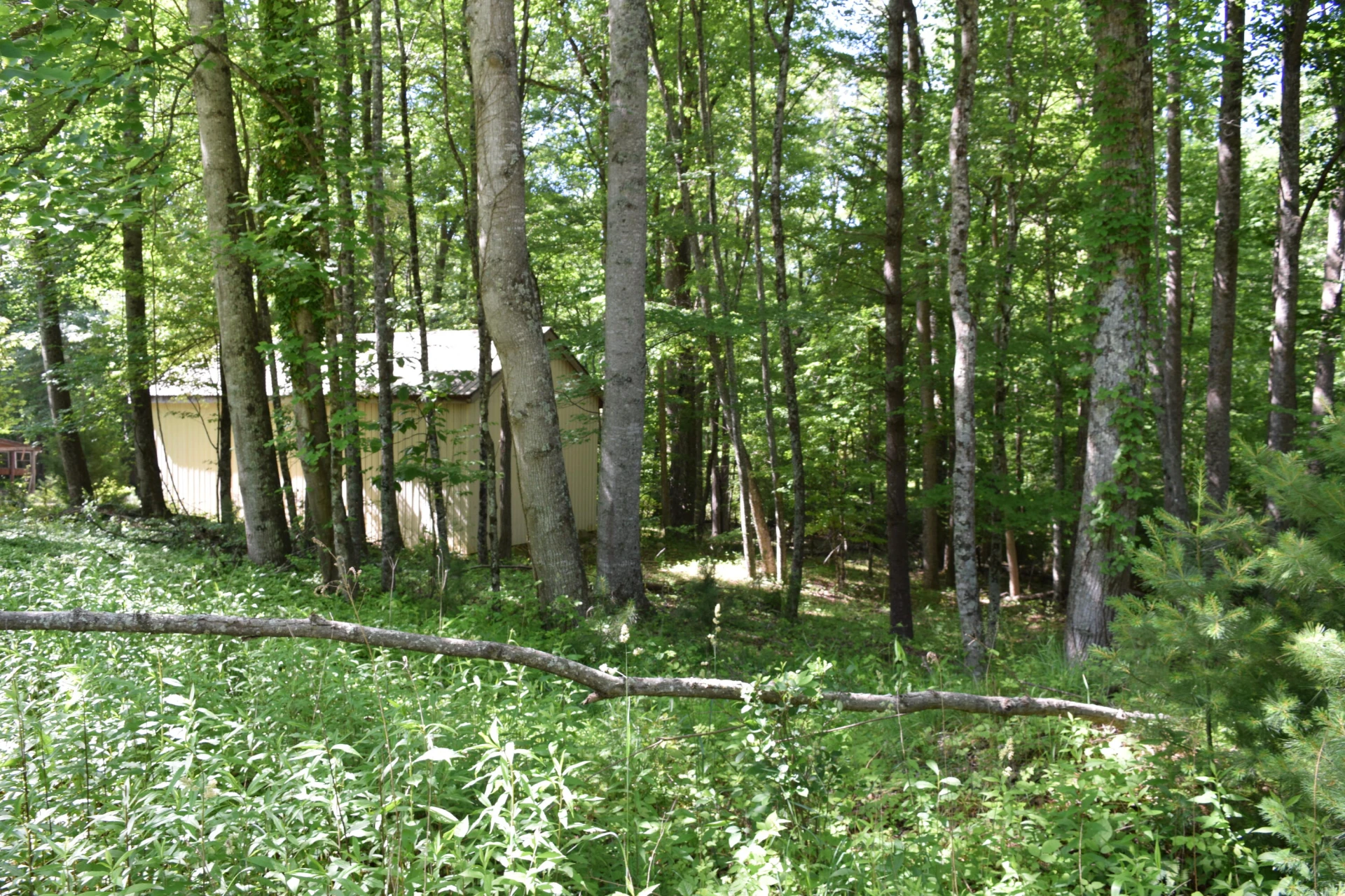 812 Conner Grove RD SW - Photo 71