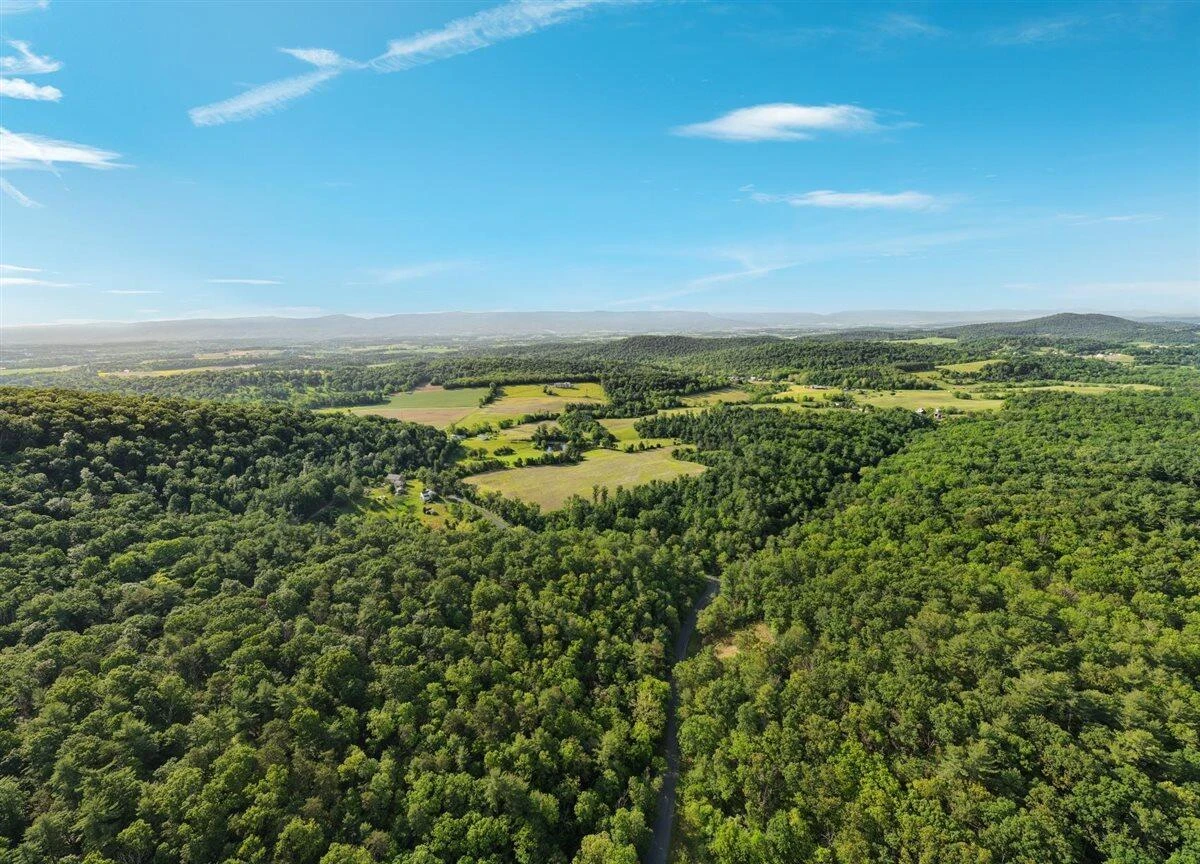 368 Ridge Hollow RD - Photo 40