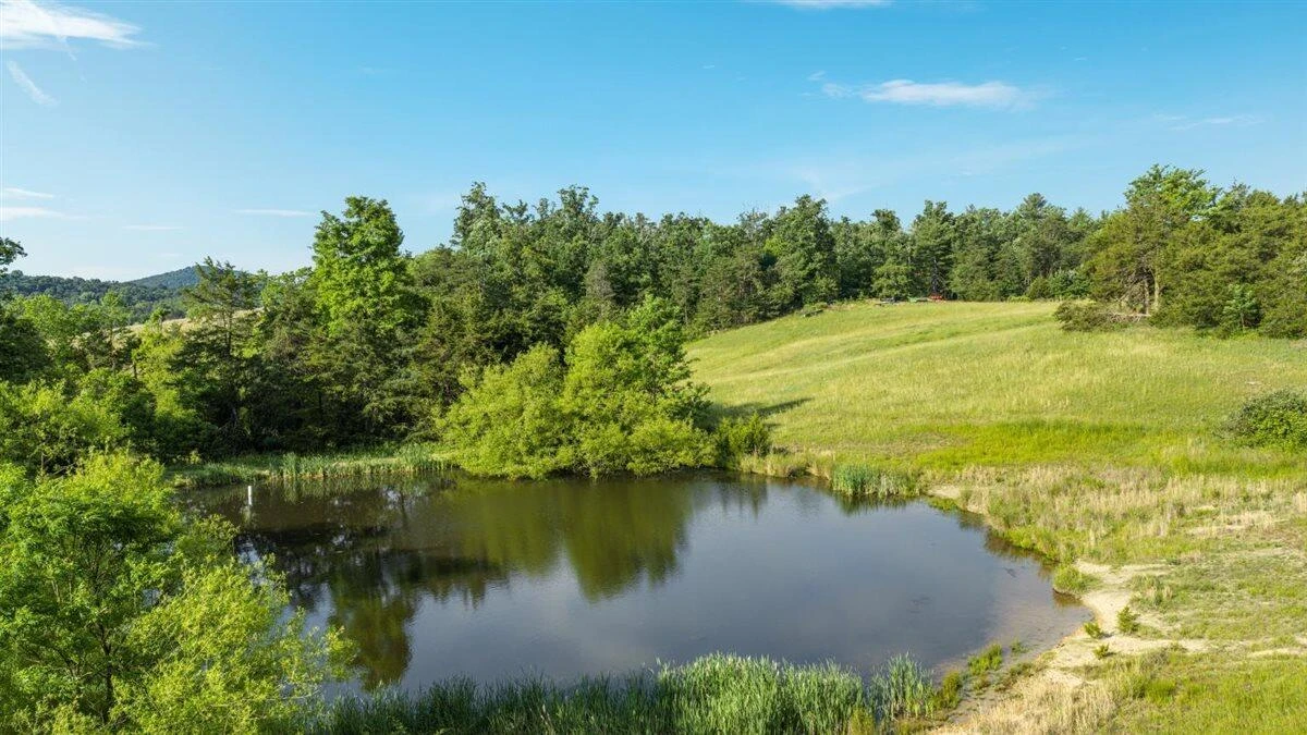 368 Ridge Hollow RD - Photo 45