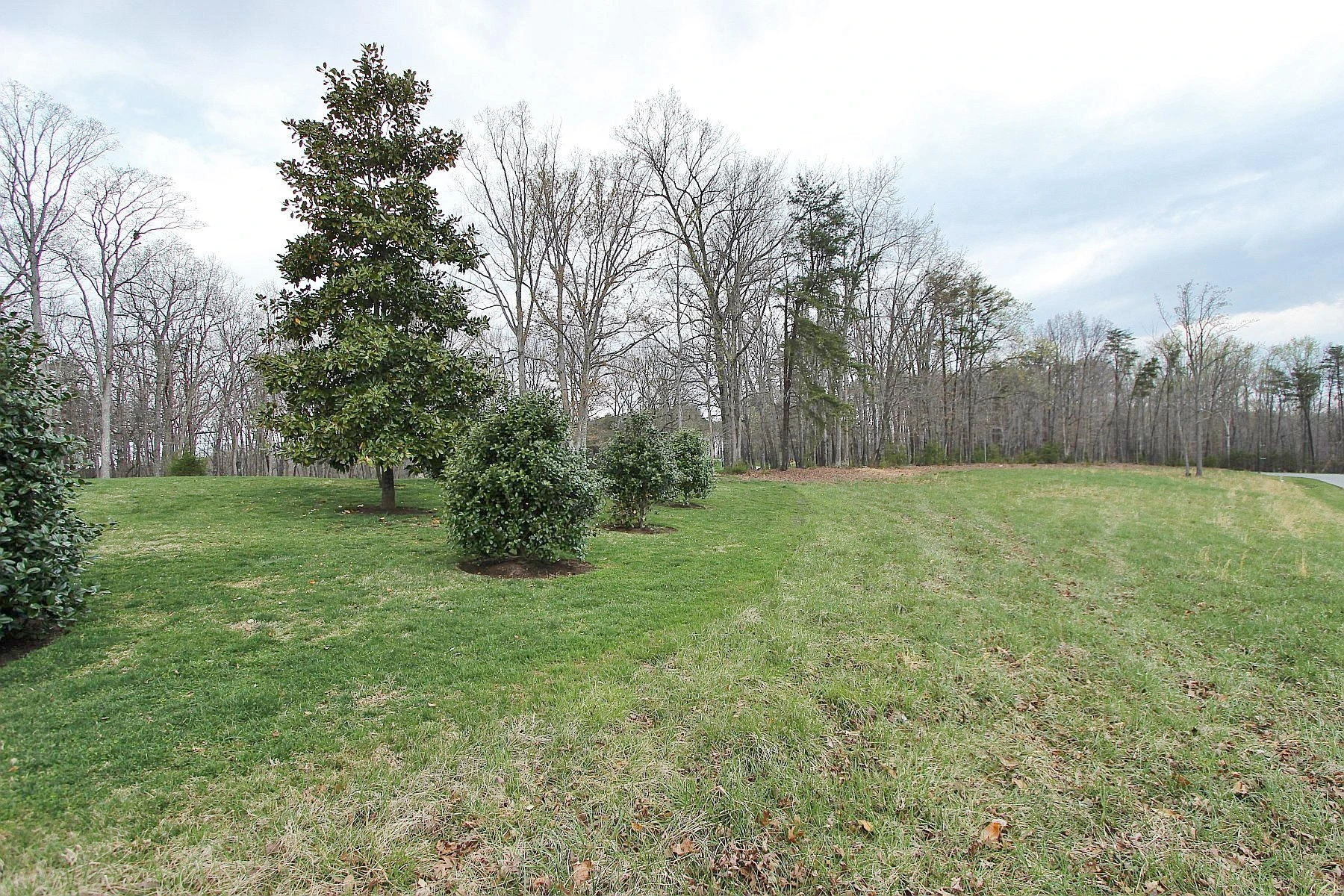 LOT 473 Southwood DR - Photo 11
