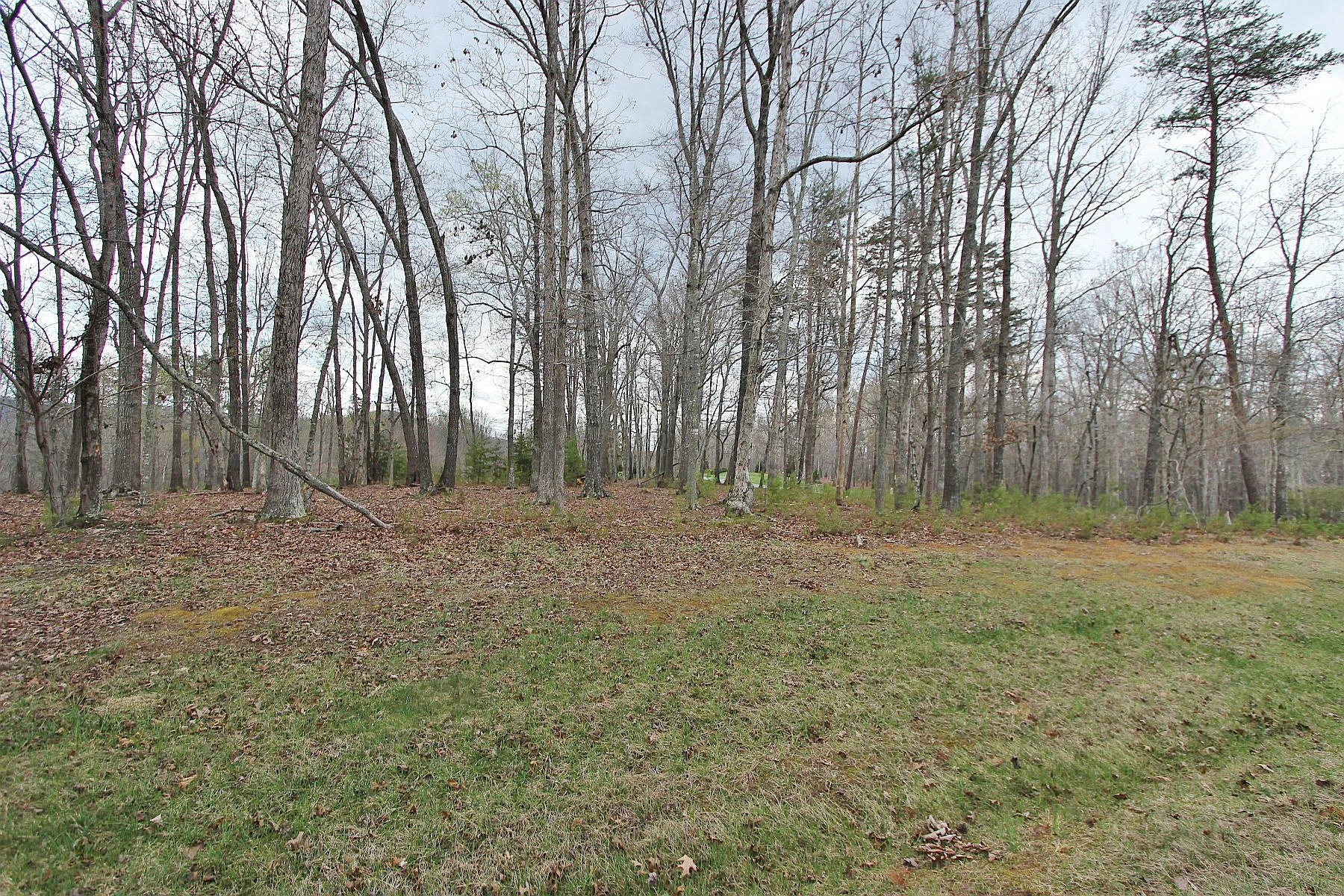 LOT 473 Southwood DR - Photo 2