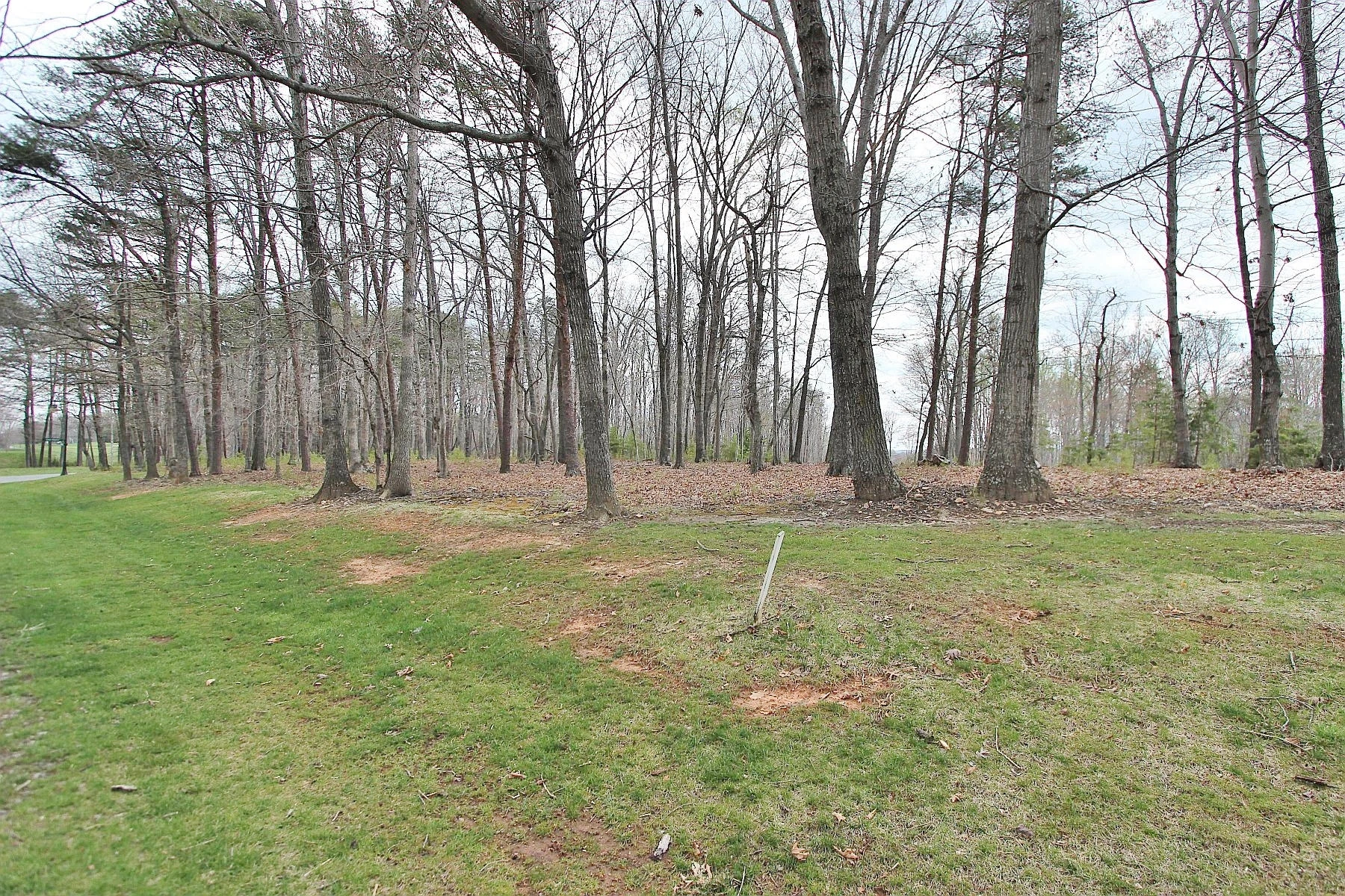 LOT 473 Southwood DR - Photo 3