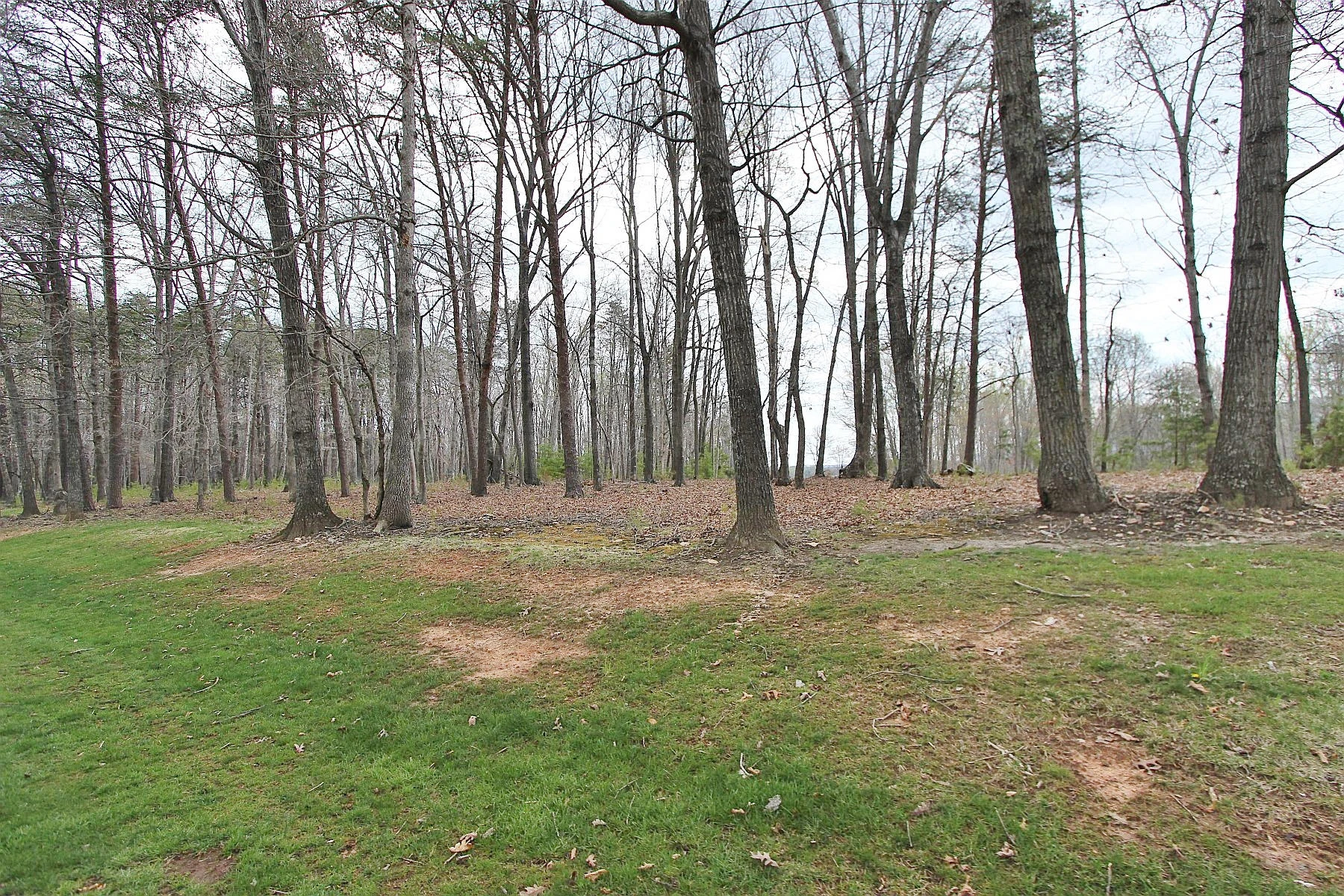 LOT 473 Southwood DR - Photo 4