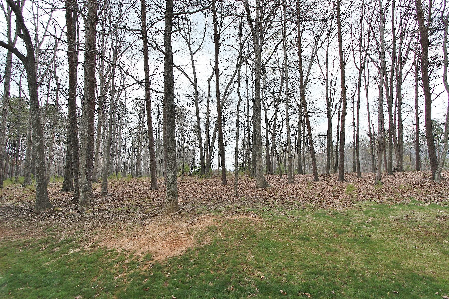 LOT 473 Southwood DR - Photo 5