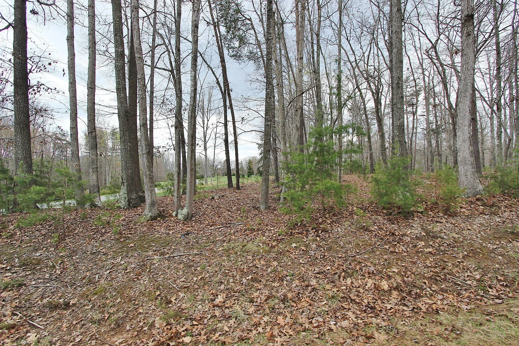 LOT 473 Southwood DR - Photo 7
