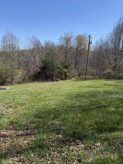 5334 Smith Mountain Lake PKWY - Photo 10