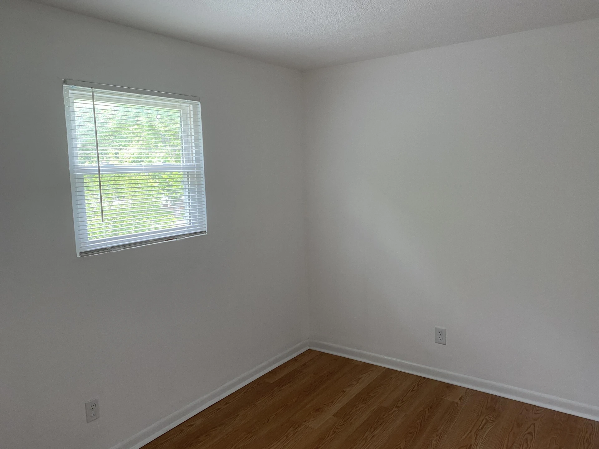 3905 Maine AVE NW - Photo 11