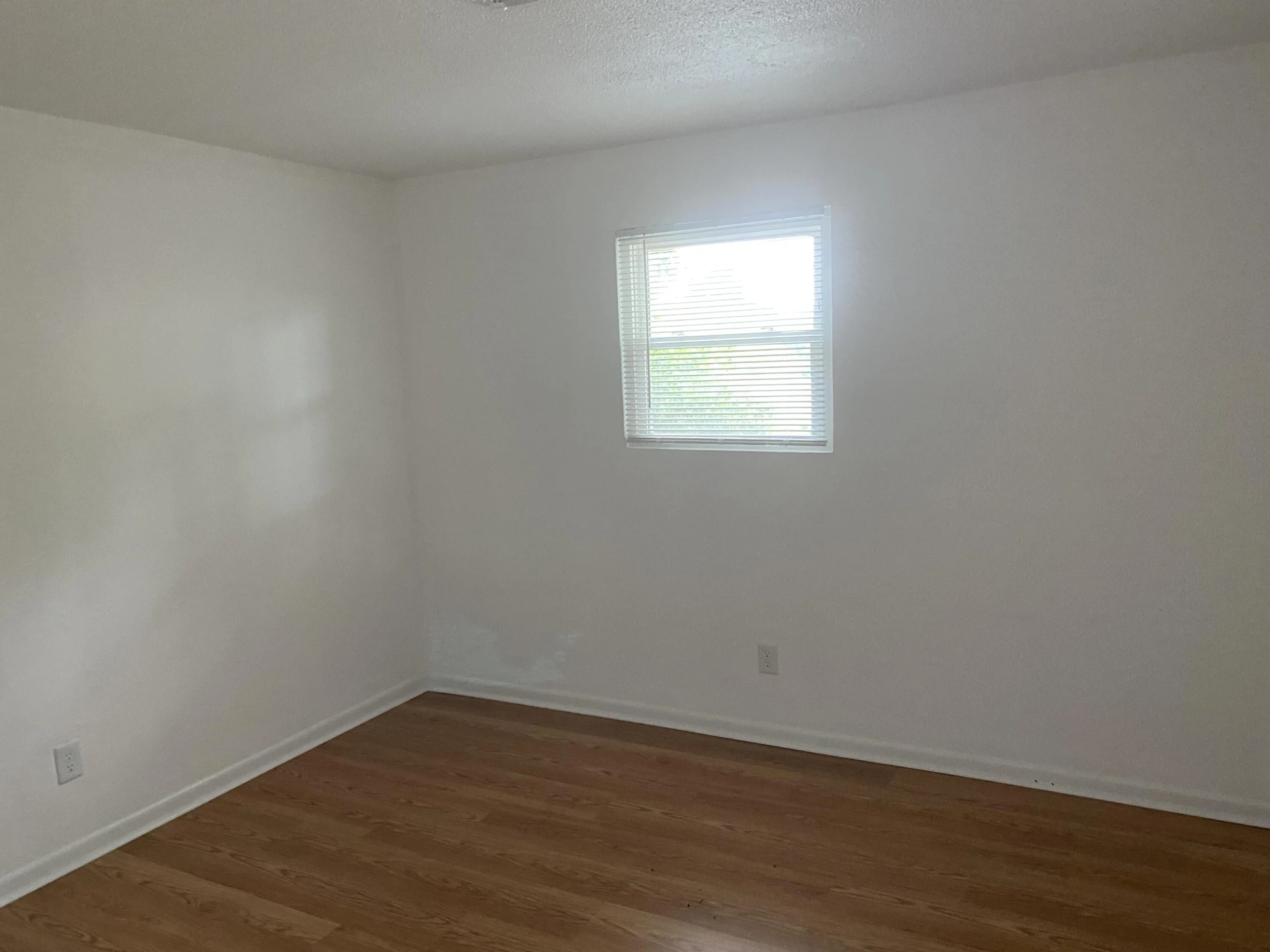 3905 Maine AVE NW - Photo 14