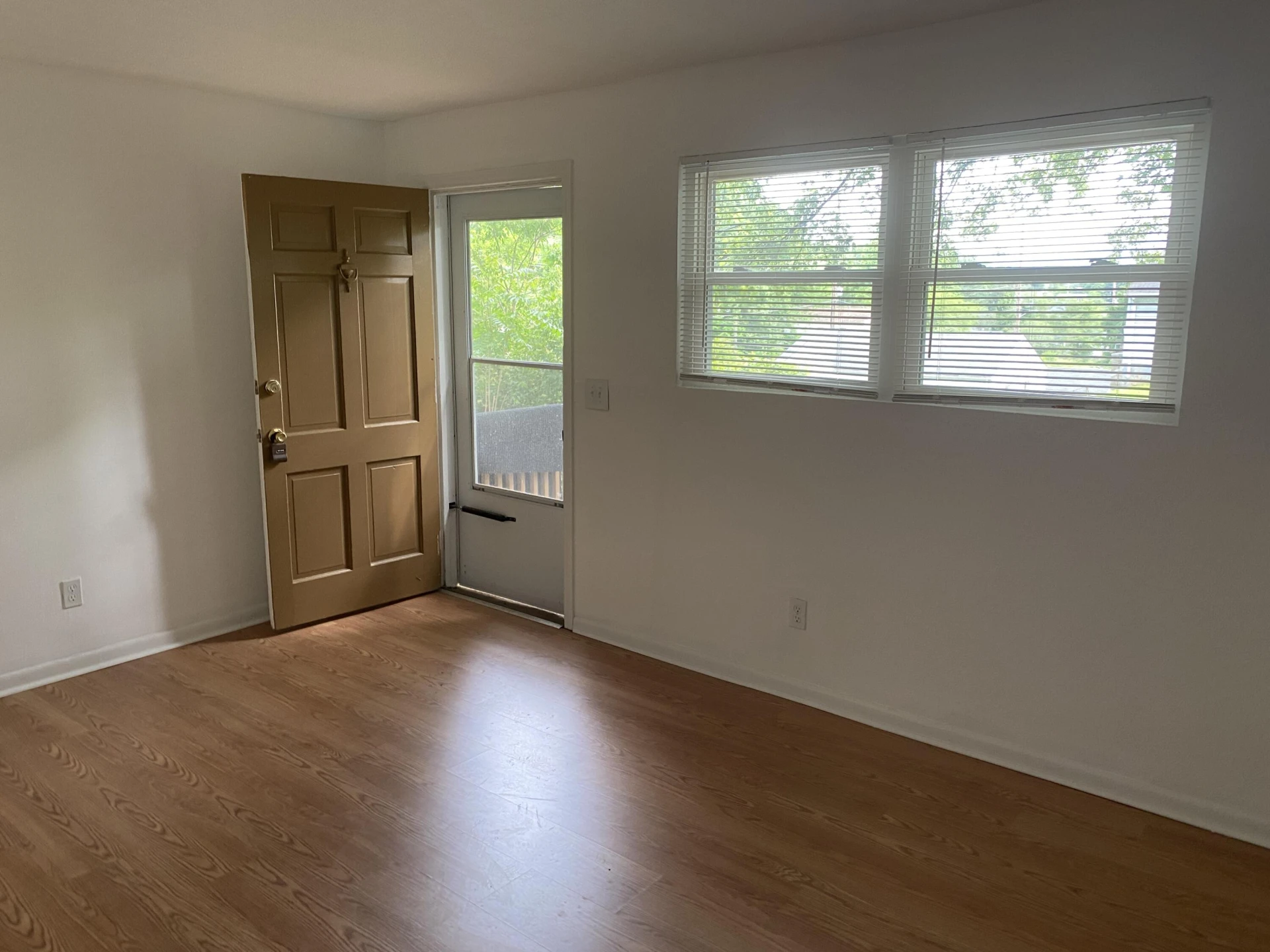 3905 Maine AVE NW - Photo 4