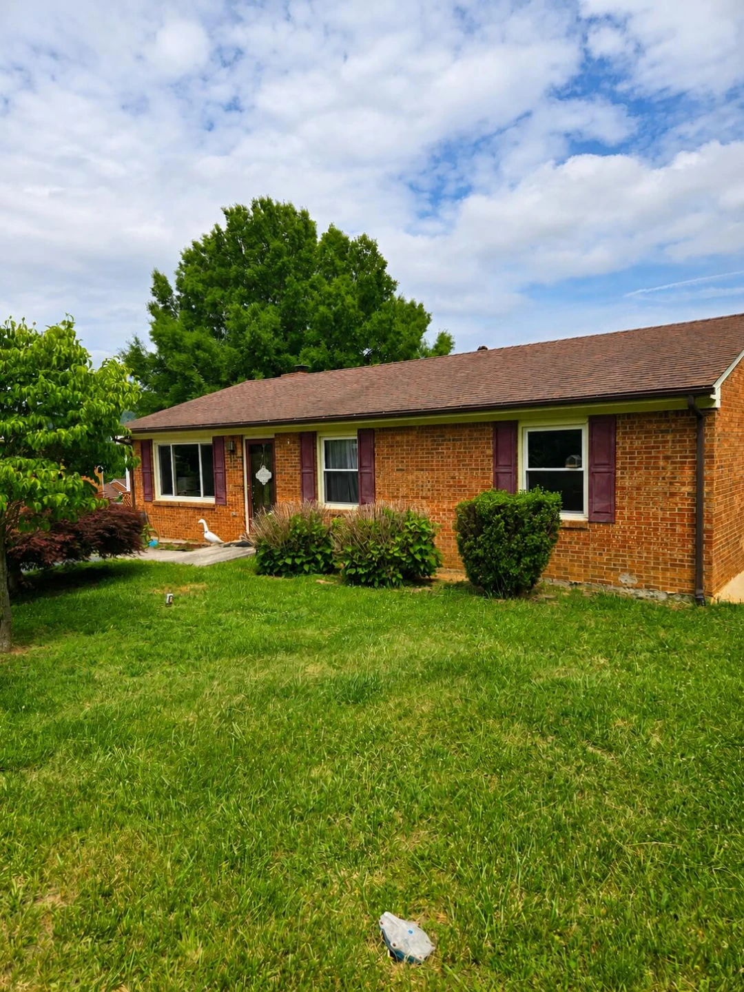 1140 Mineral Springs DR - Photo 2