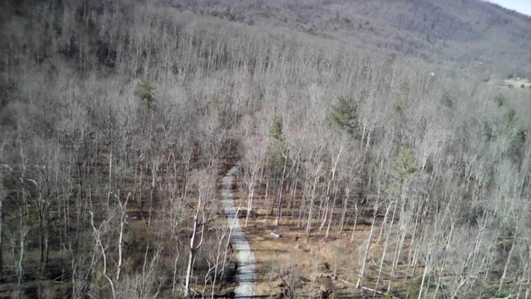Lot 3 Meadors Mill RD - Photo 3