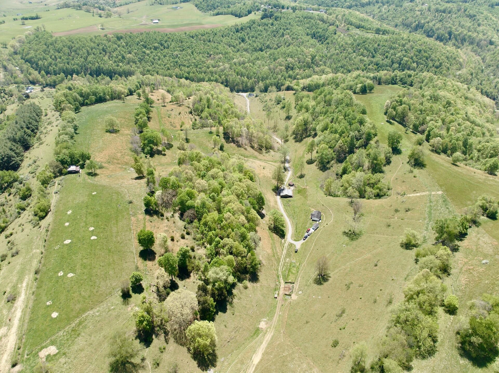 453 Long Hollow RD - Photo 12