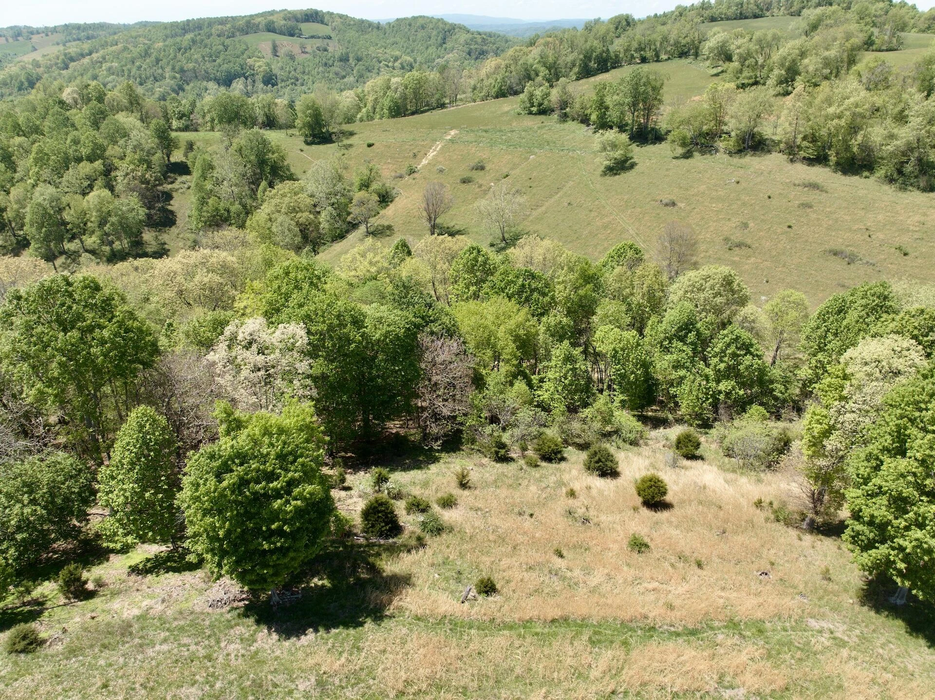 453 Long Hollow RD - Photo 18