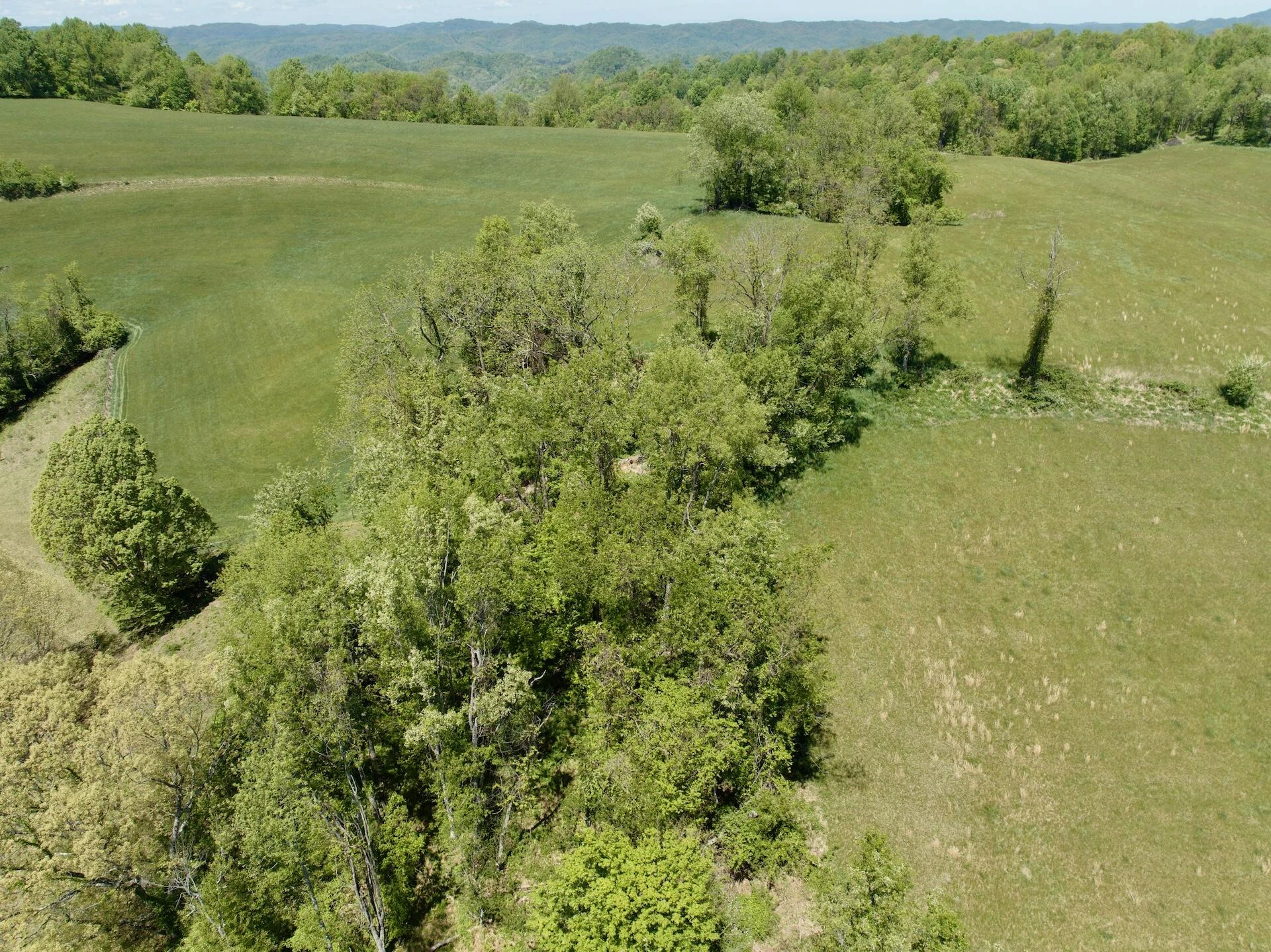 453 Long Hollow RD - Photo 21