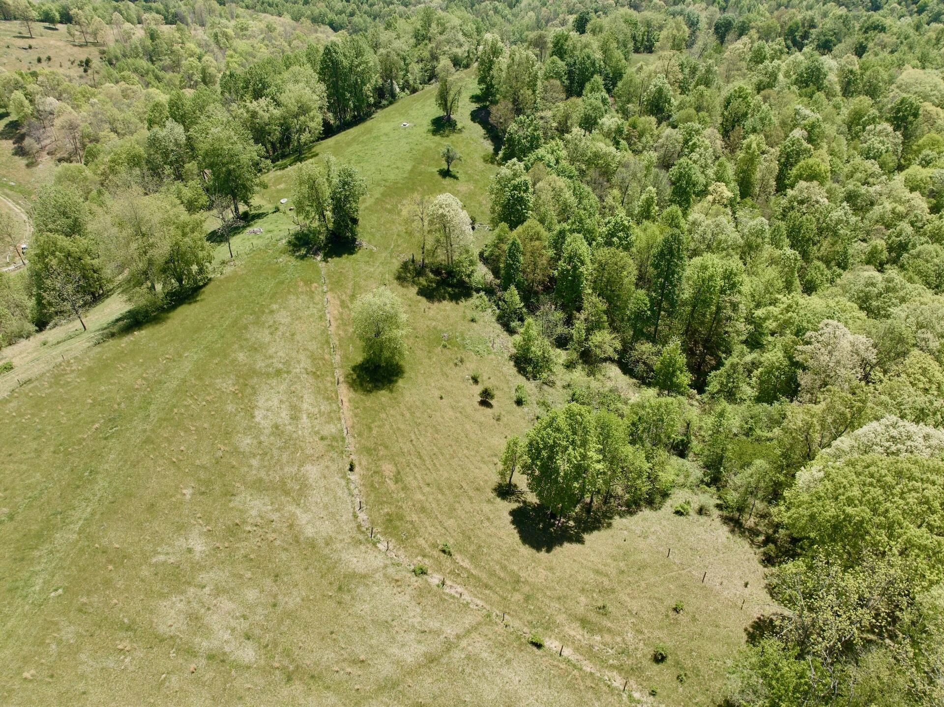 453 Long Hollow RD - Photo 22