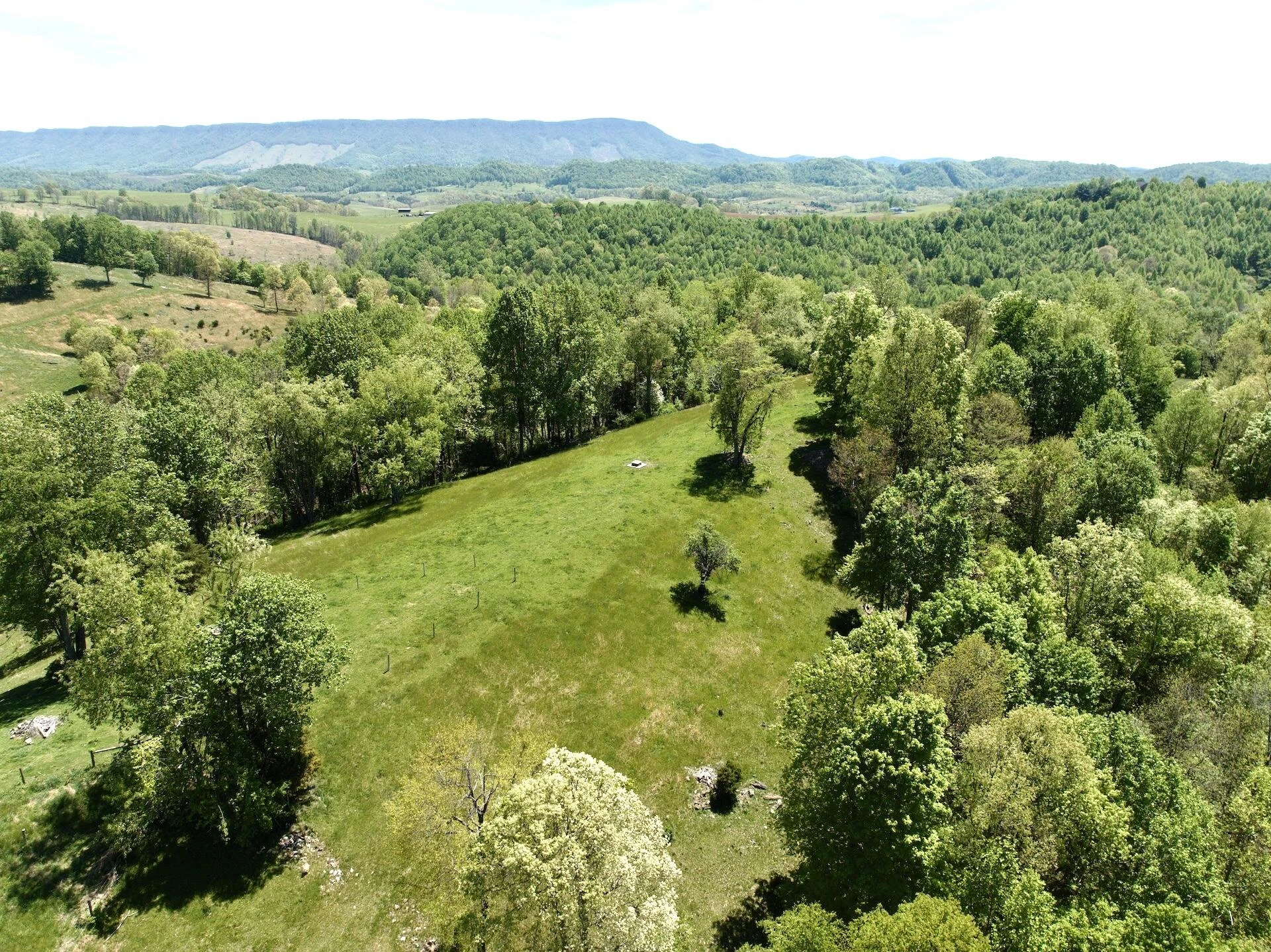 453 Long Hollow RD - Photo 23
