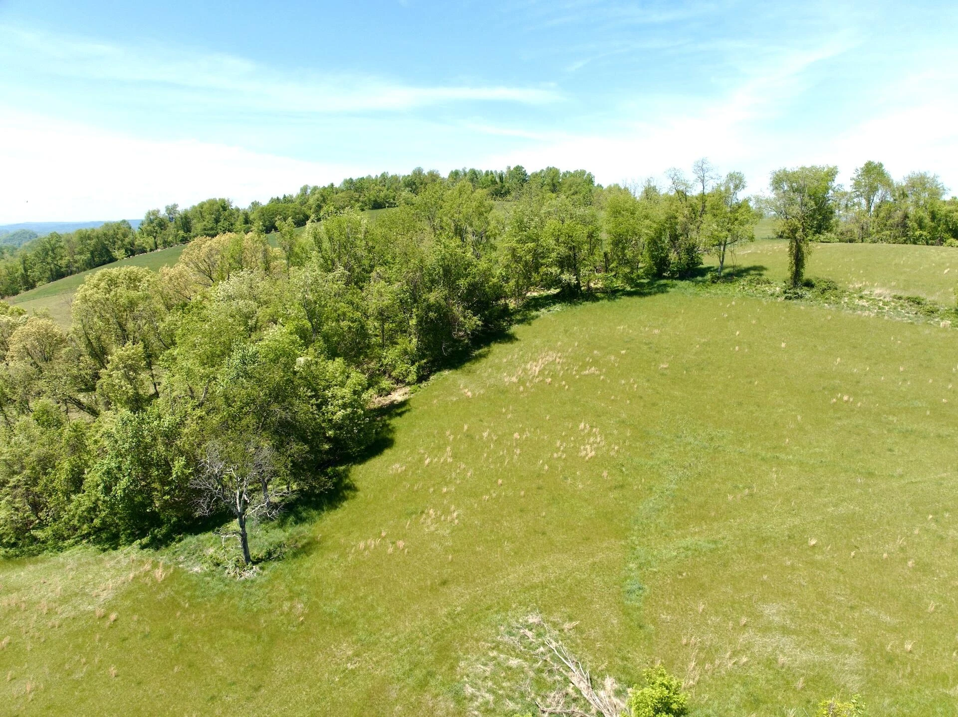 453 Long Hollow RD - Photo 24