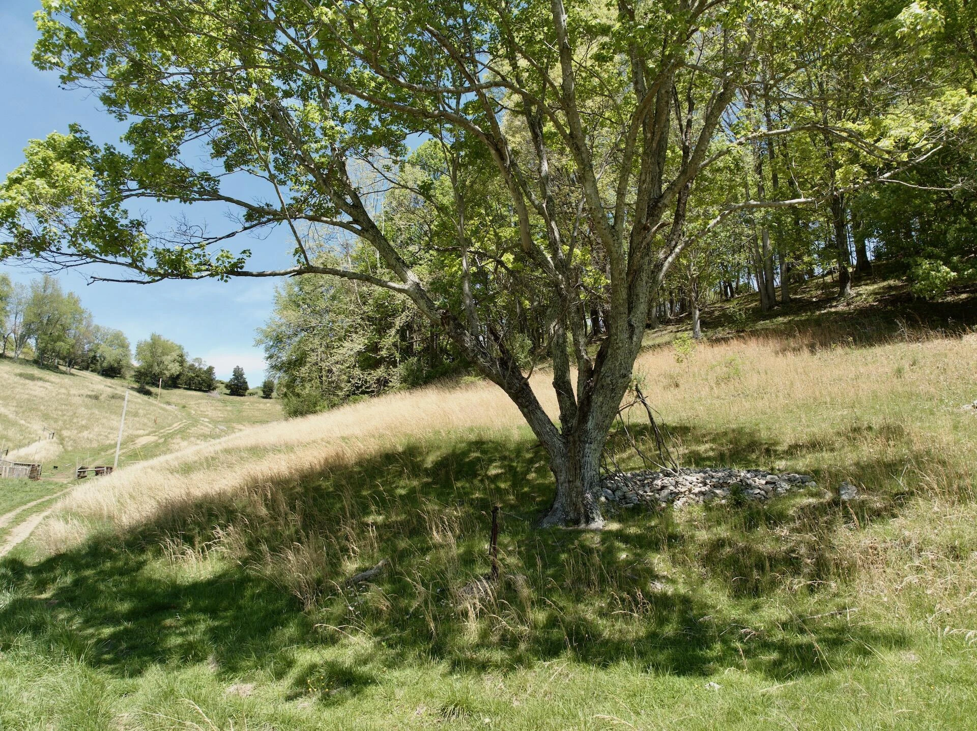 453 Long Hollow RD - Photo 37