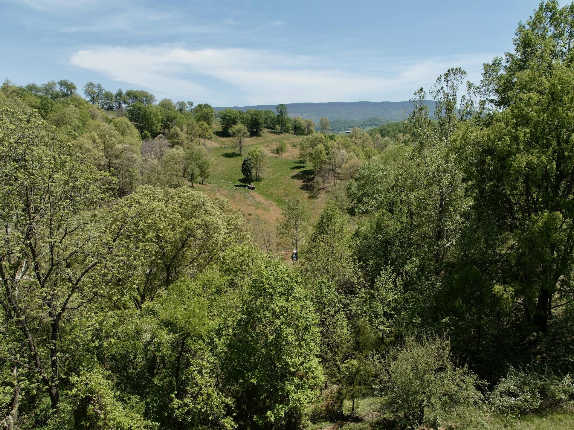 453 Long Hollow RD - Photo 41
