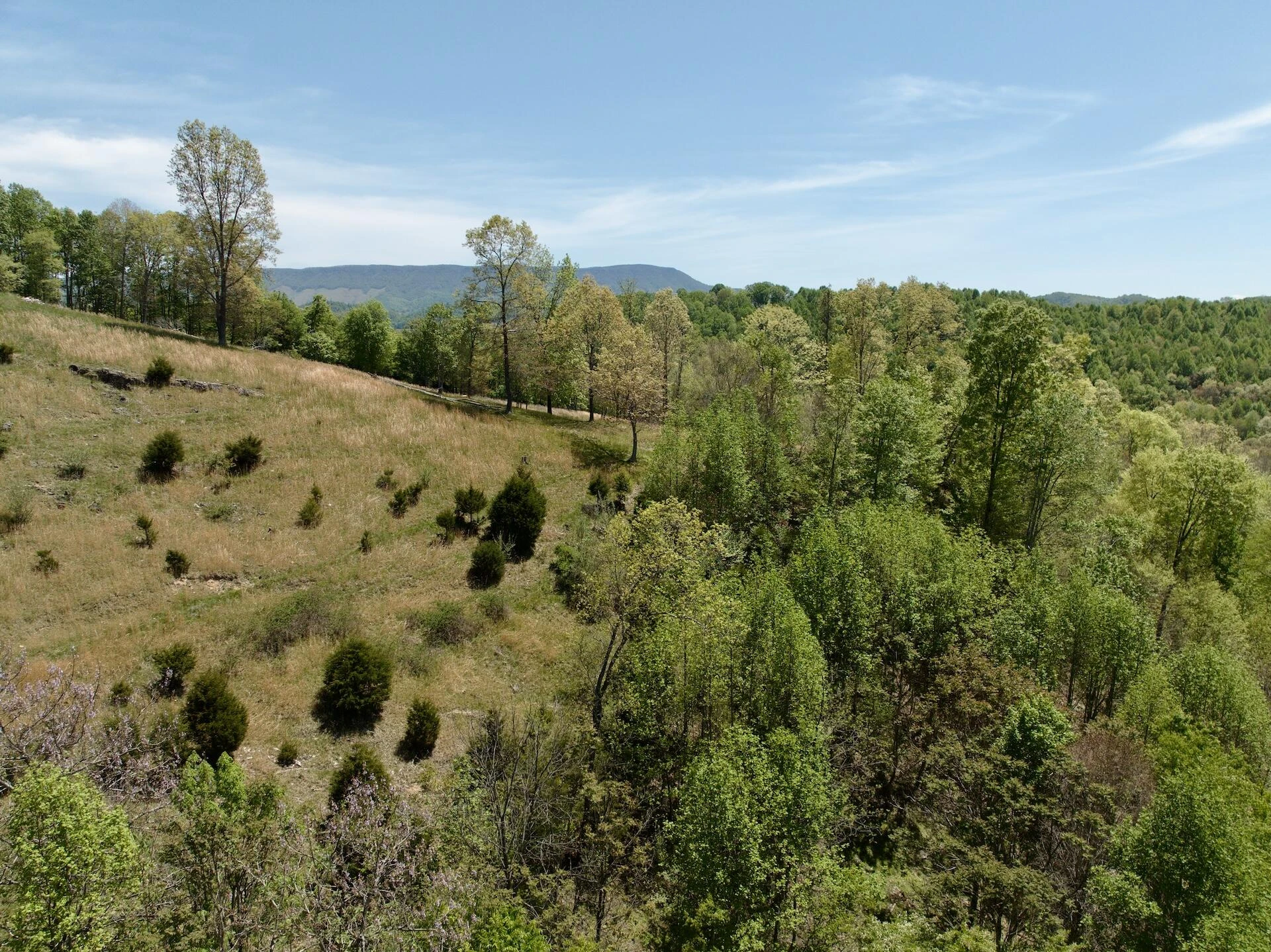453 Long Hollow RD - Photo 46