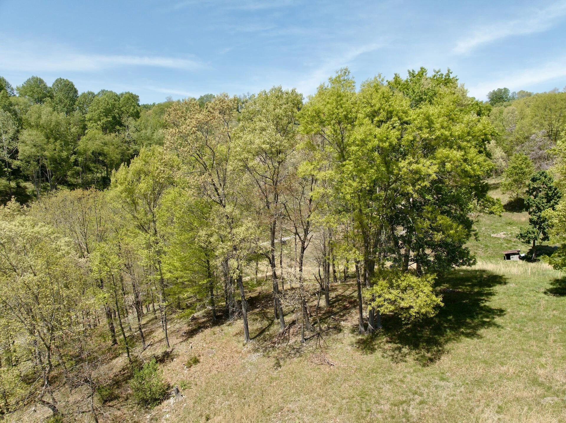 453 Long Hollow RD - Photo 49