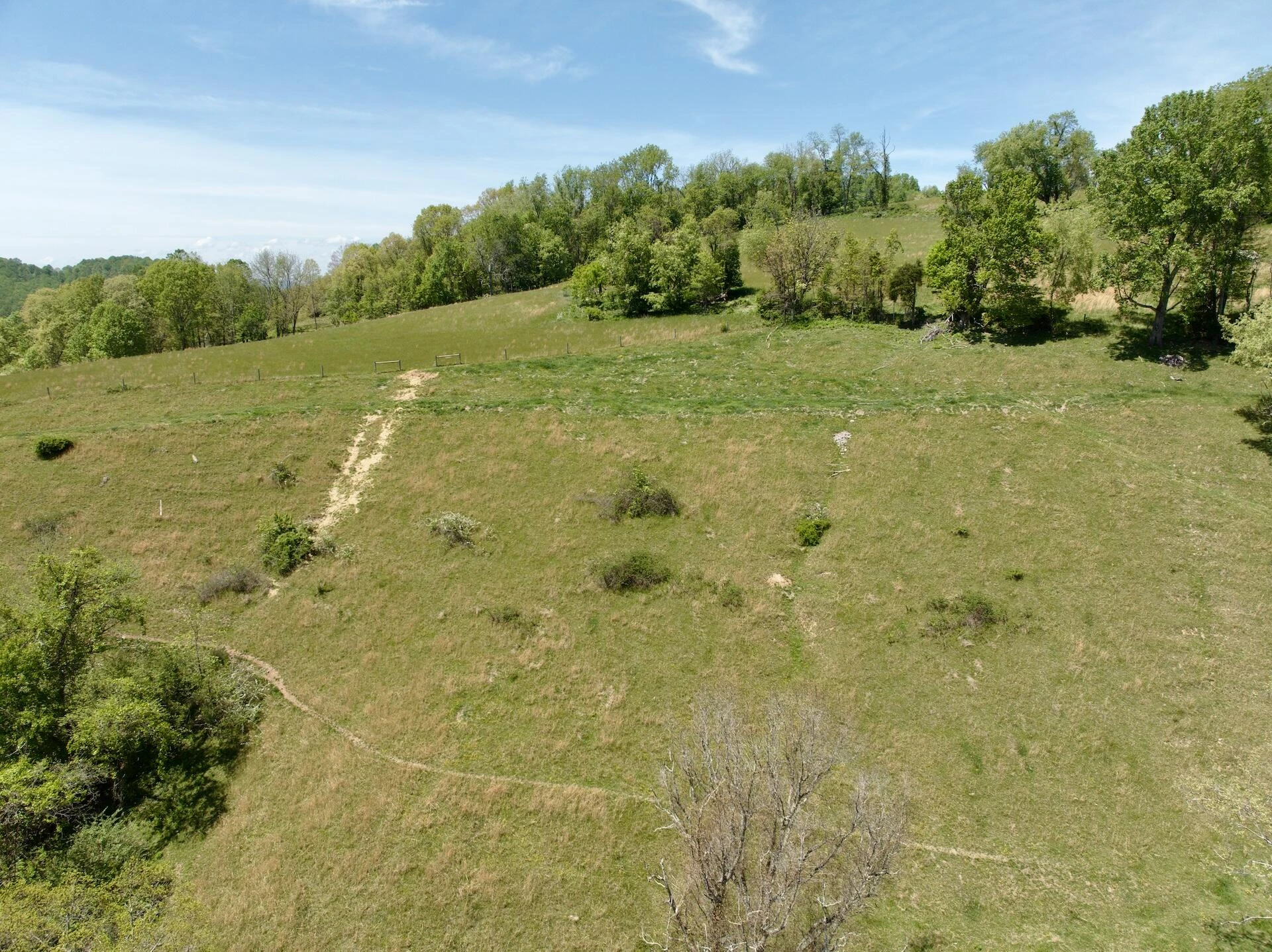 453 Long Hollow RD - Photo 5