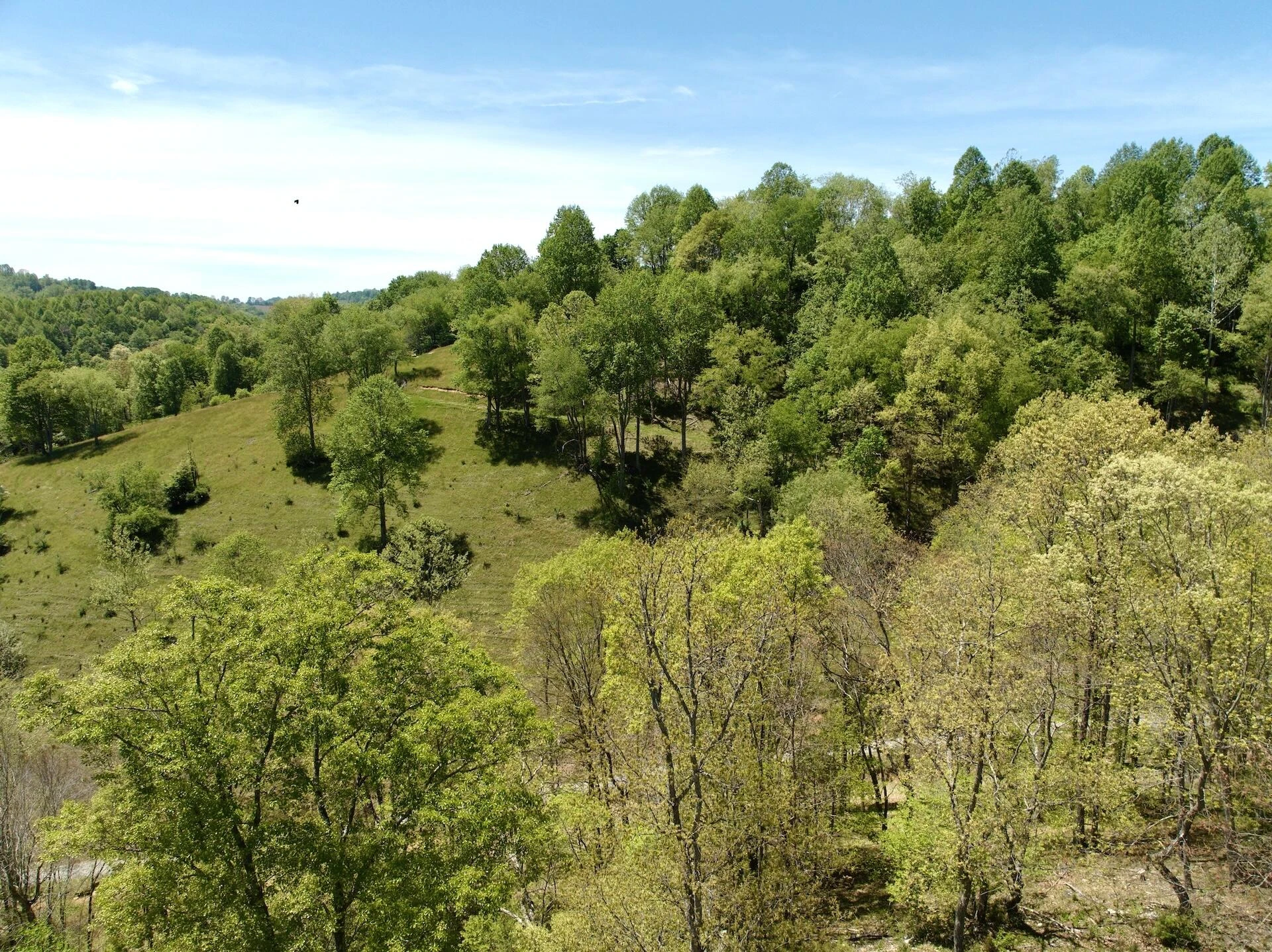 453 Long Hollow RD - Photo 50