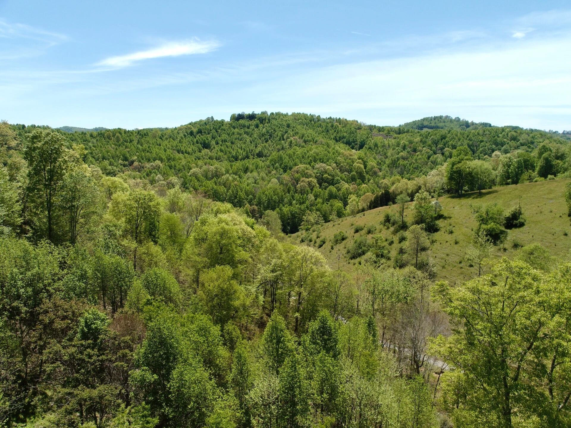 453 Long Hollow RD - Photo 51