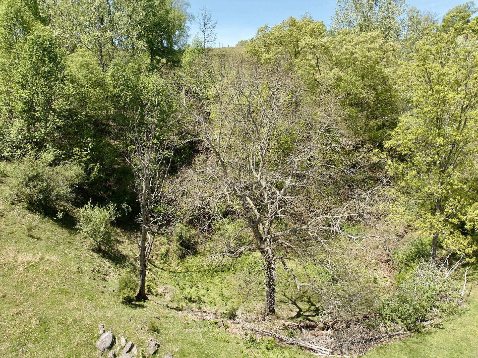 453 Long Hollow RD - Photo 53