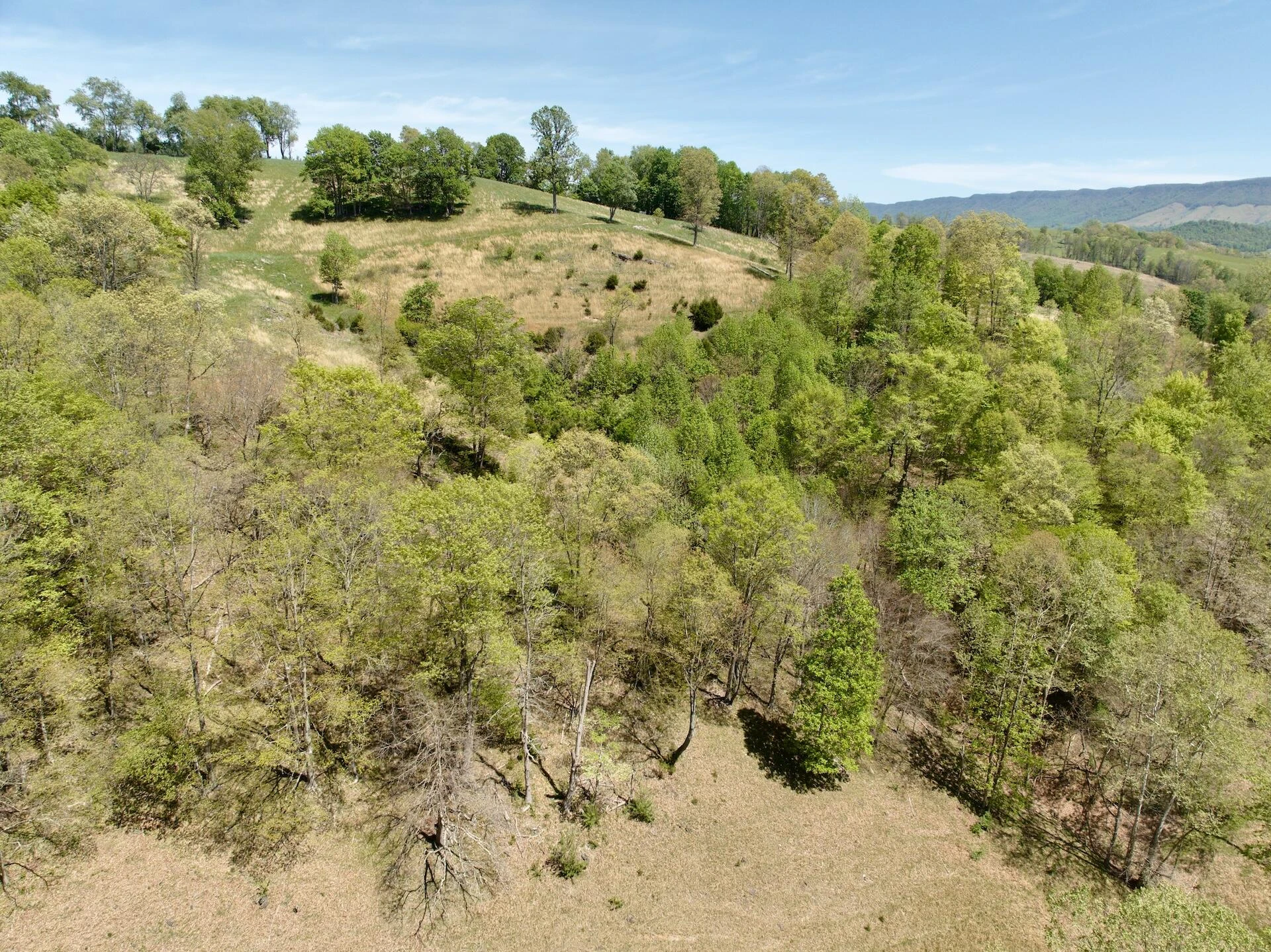 453 Long Hollow RD - Photo 61