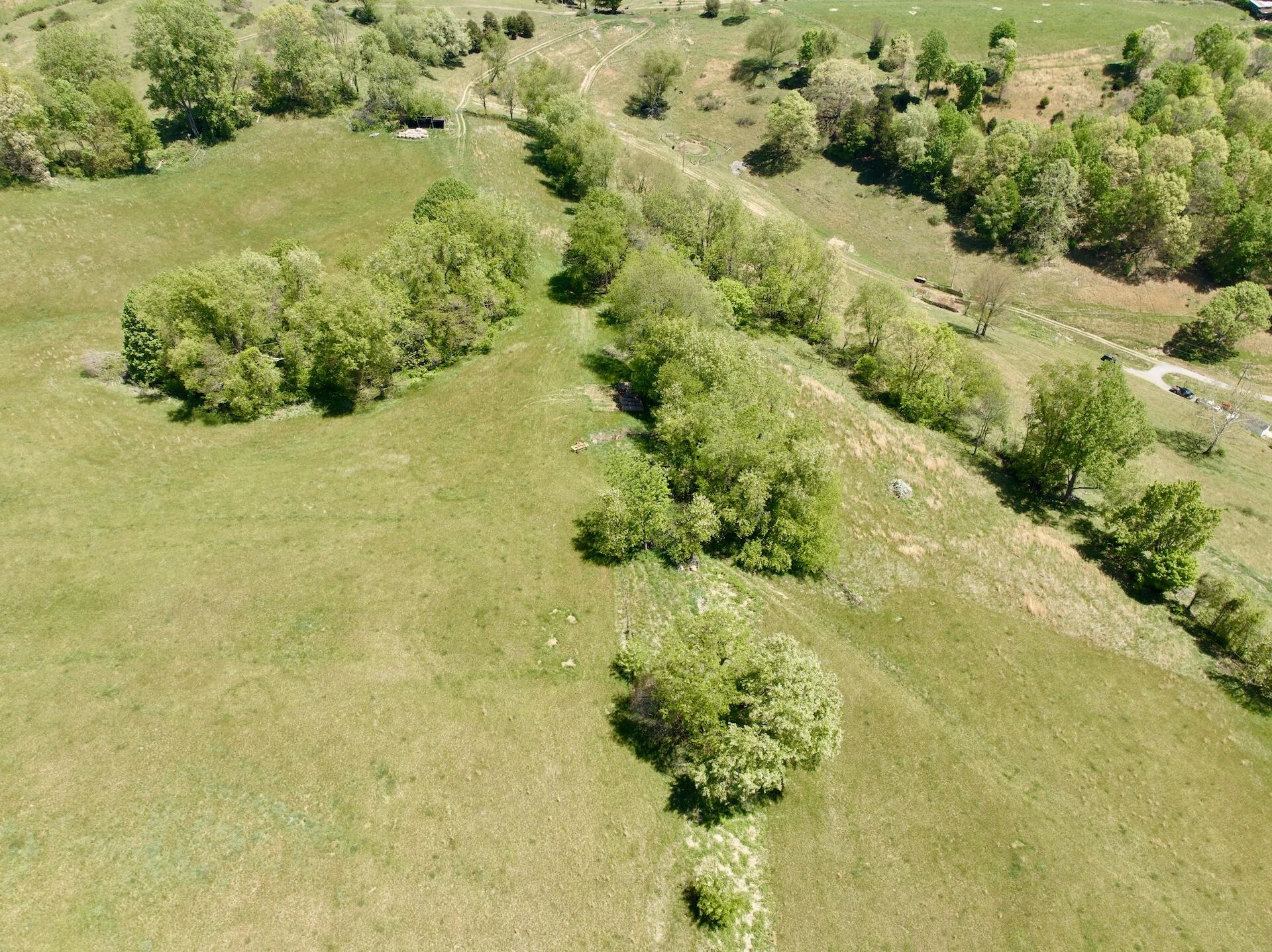 453 Long Hollow RD - Photo 7
