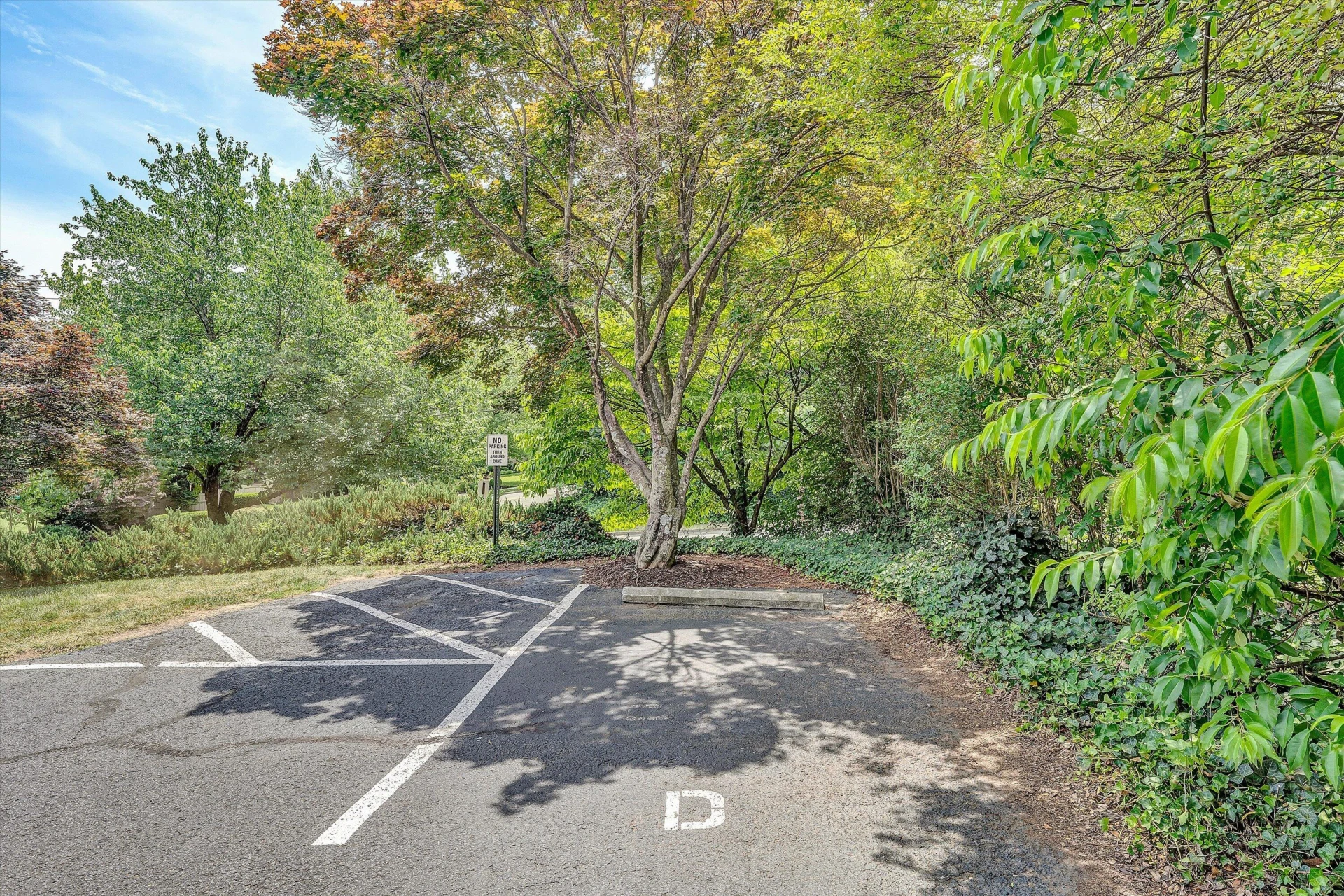 2231 Broadway AVE SW #D - Photo 4